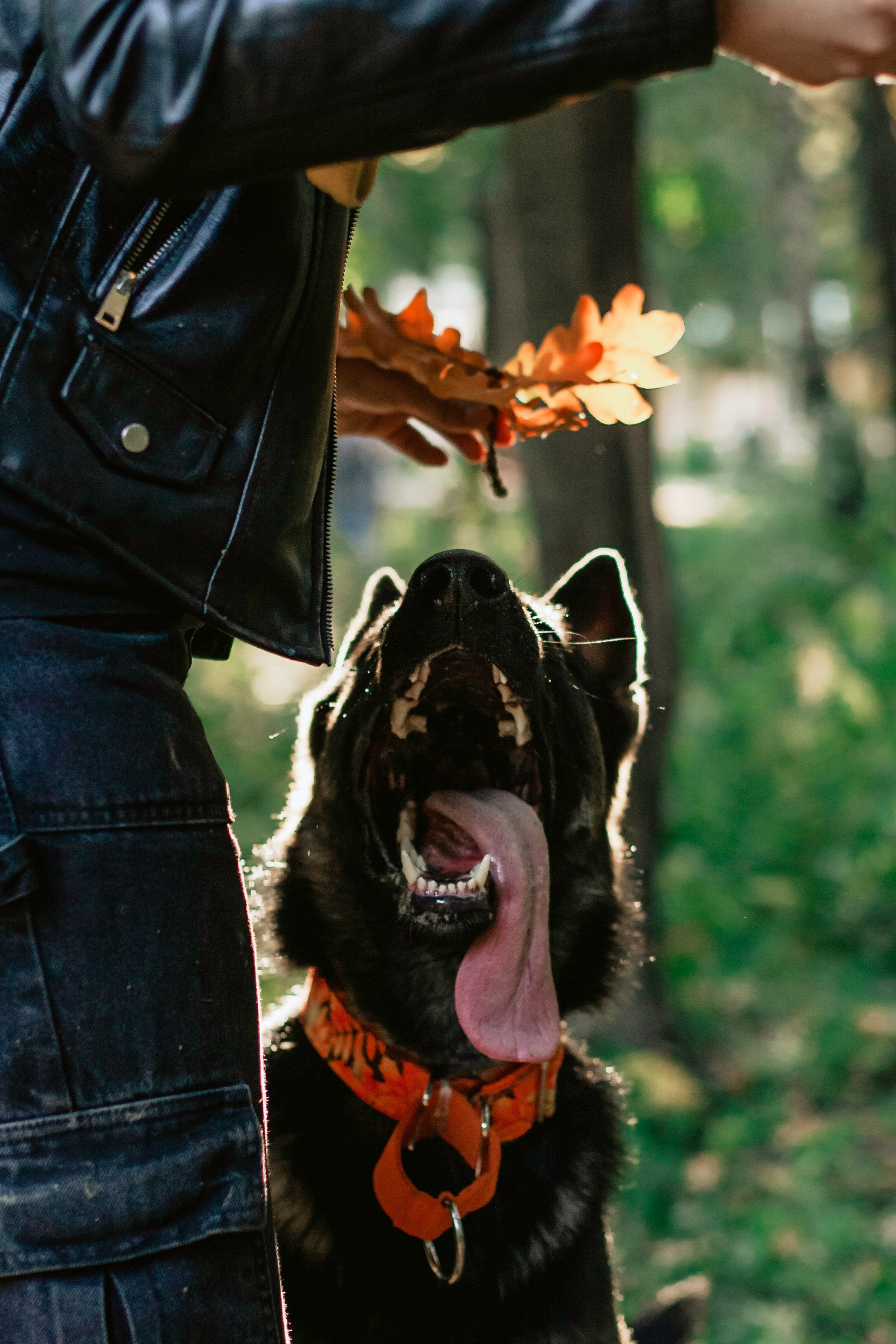 Илай. Фотограф-анималист Татьяна Степанова