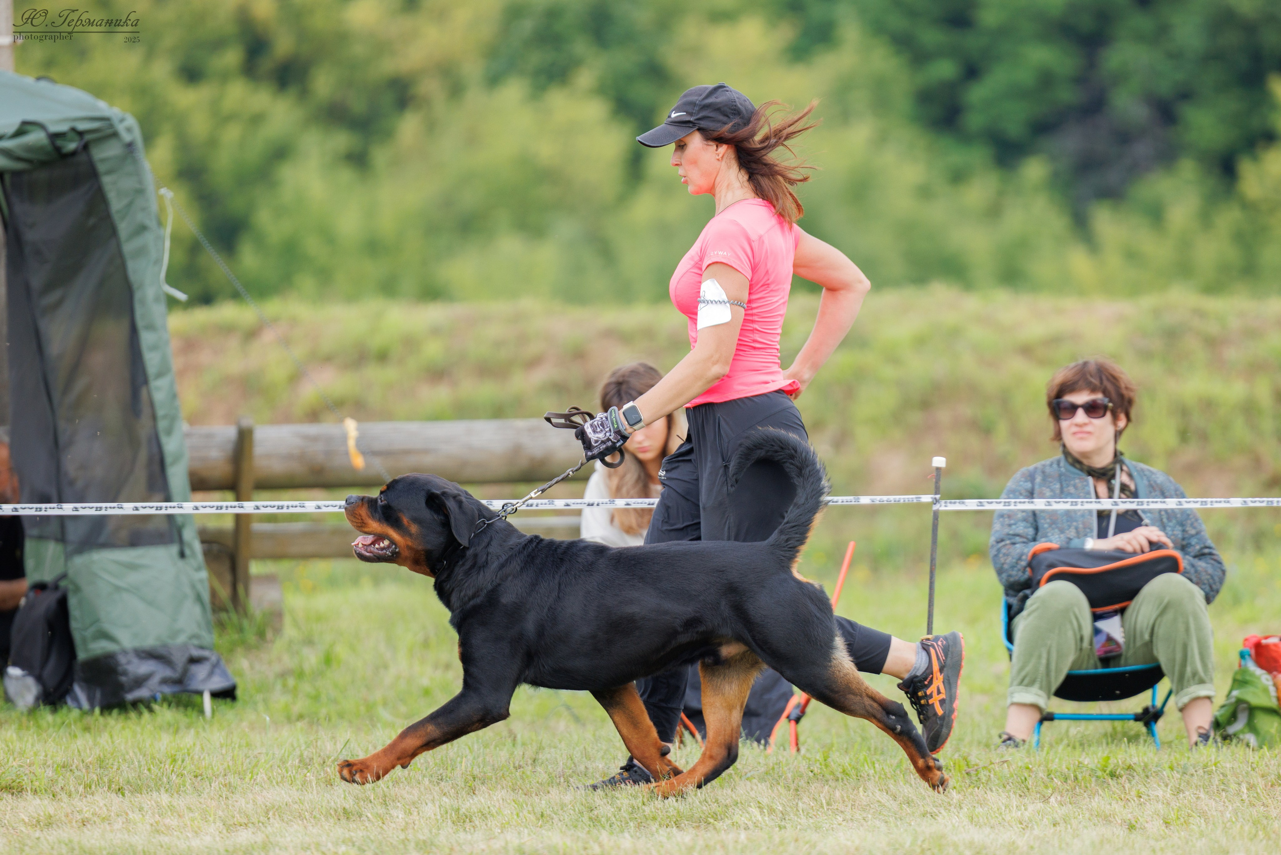 Рязань 2хмоно ротвейлеры 16-17.08.2025. Фотограф-анималист Юлия Германика