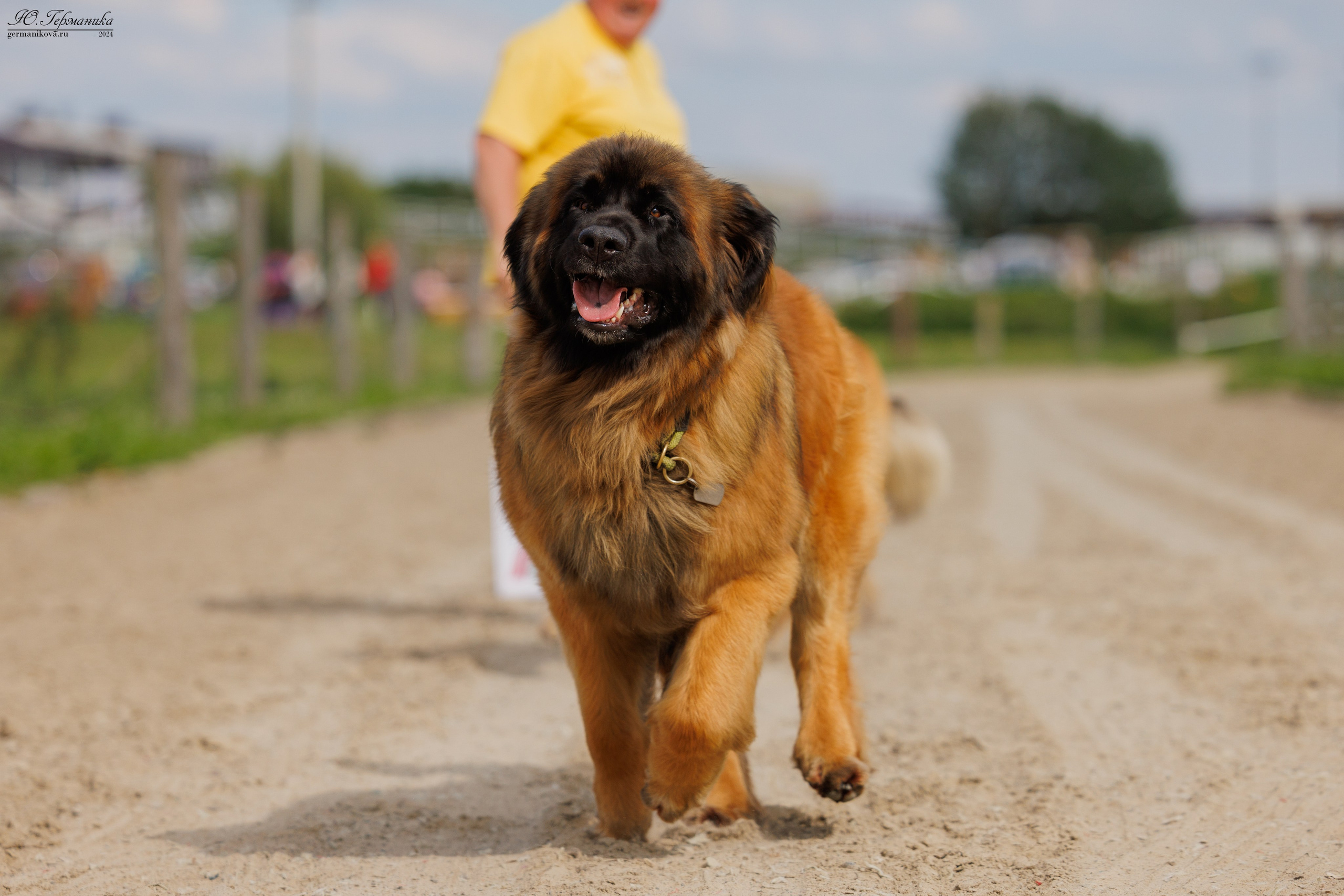 РОССИЯ 8-9.06.2024. Фотограф-анималист Юлия Германика
