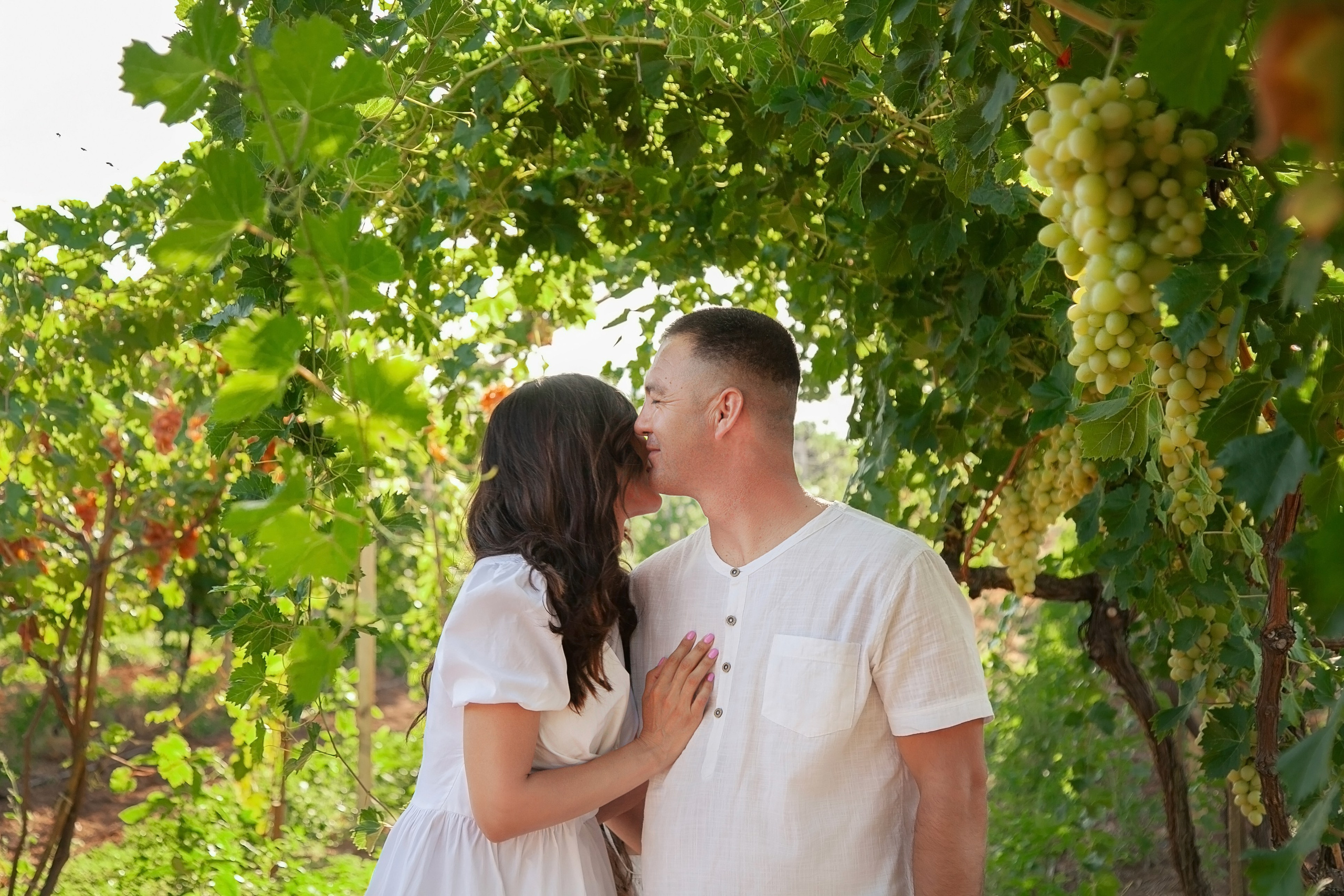 ВИНОГРАДНИКИ. Фотограф в Крыму