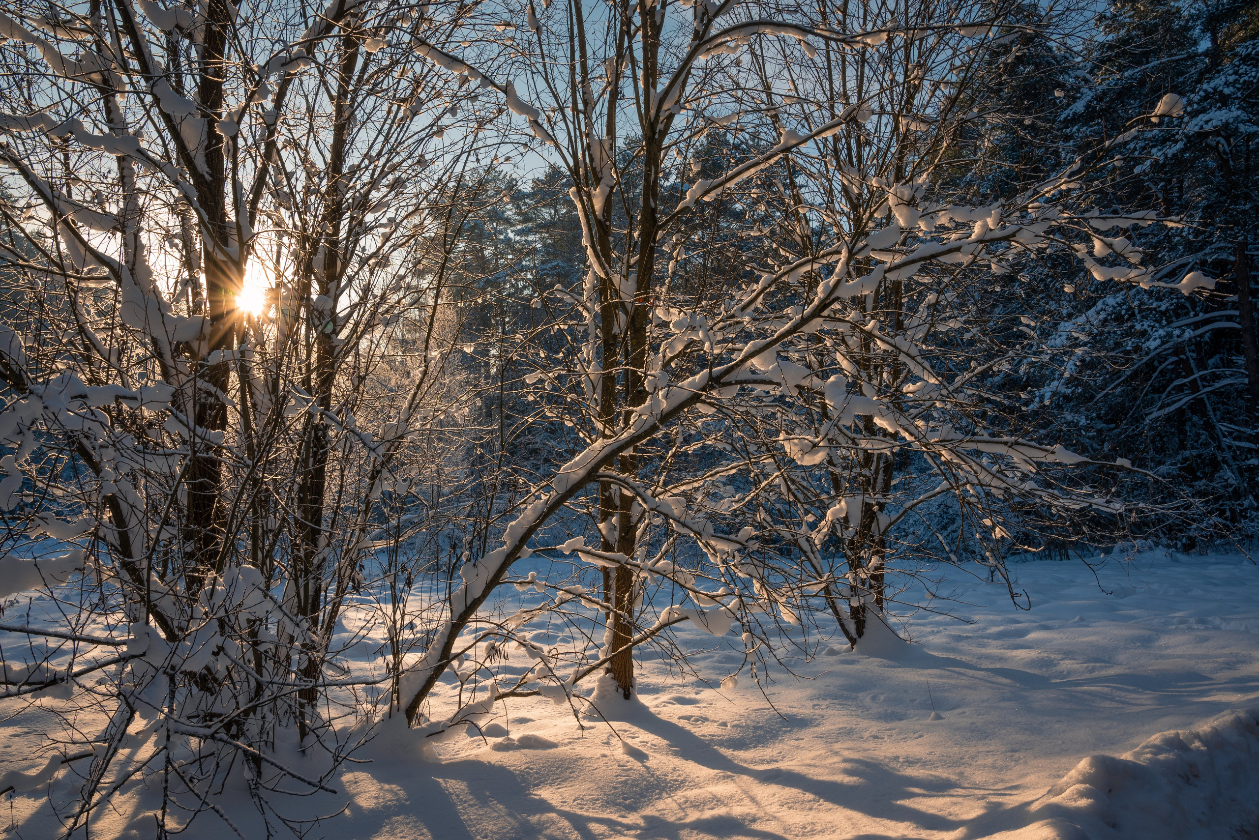 Места. Фотограф в Минске Дарья Кончакова