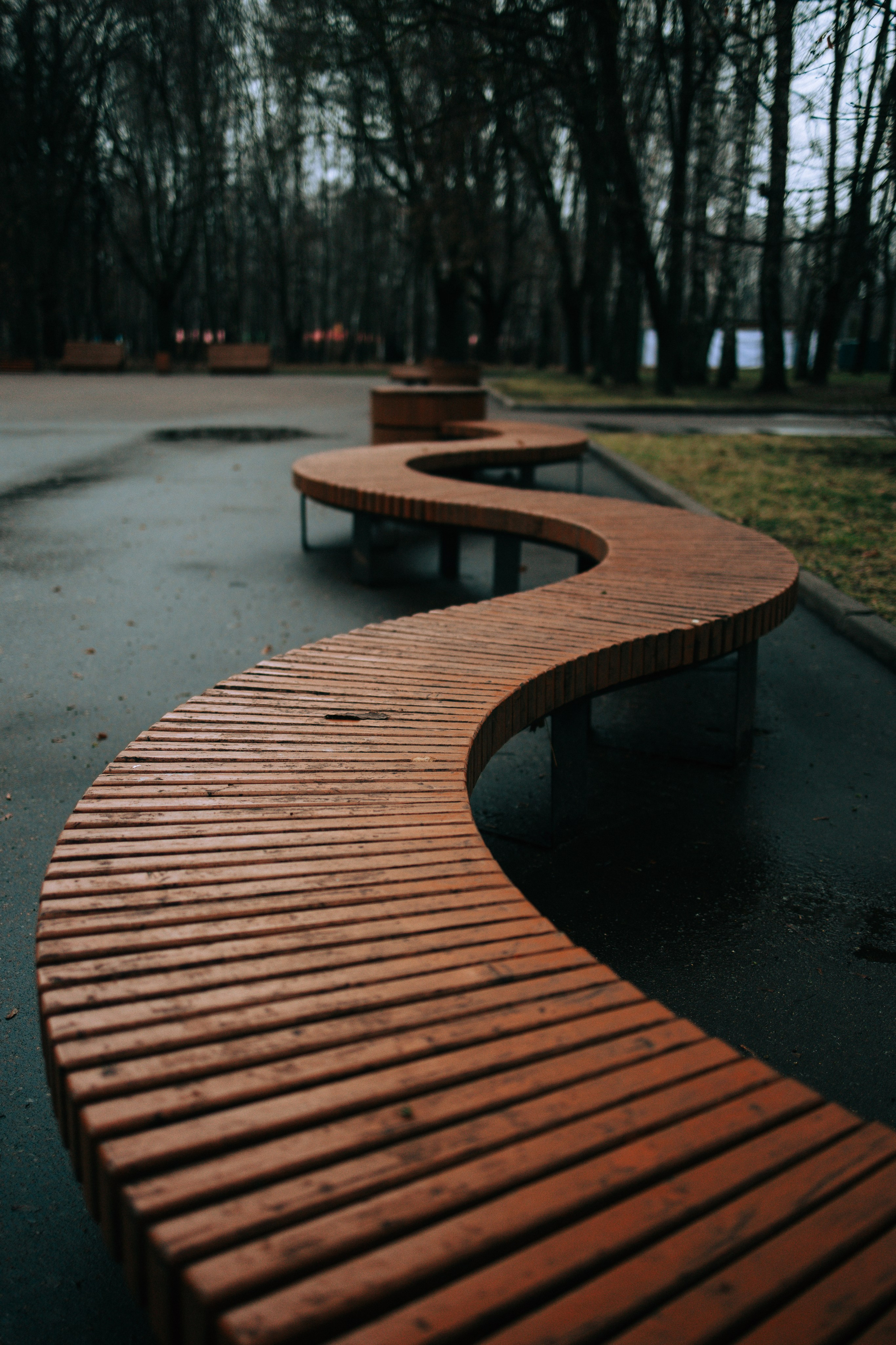 Осень, парк, экзотариум. Свадебный и семейный фотограф в Туле и области Маша Костина