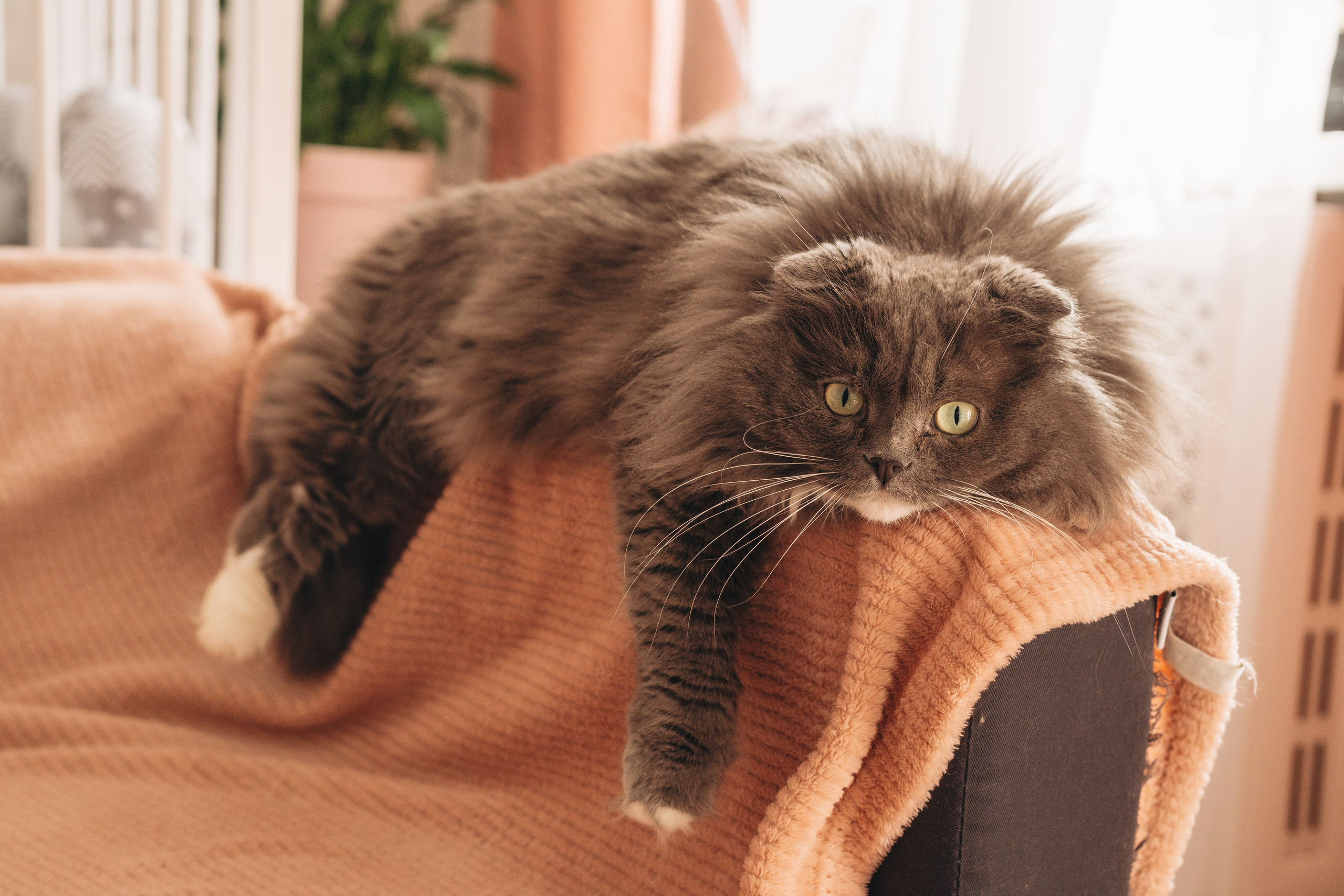 Семейная домашняя серия. Alenasokolowa.ru