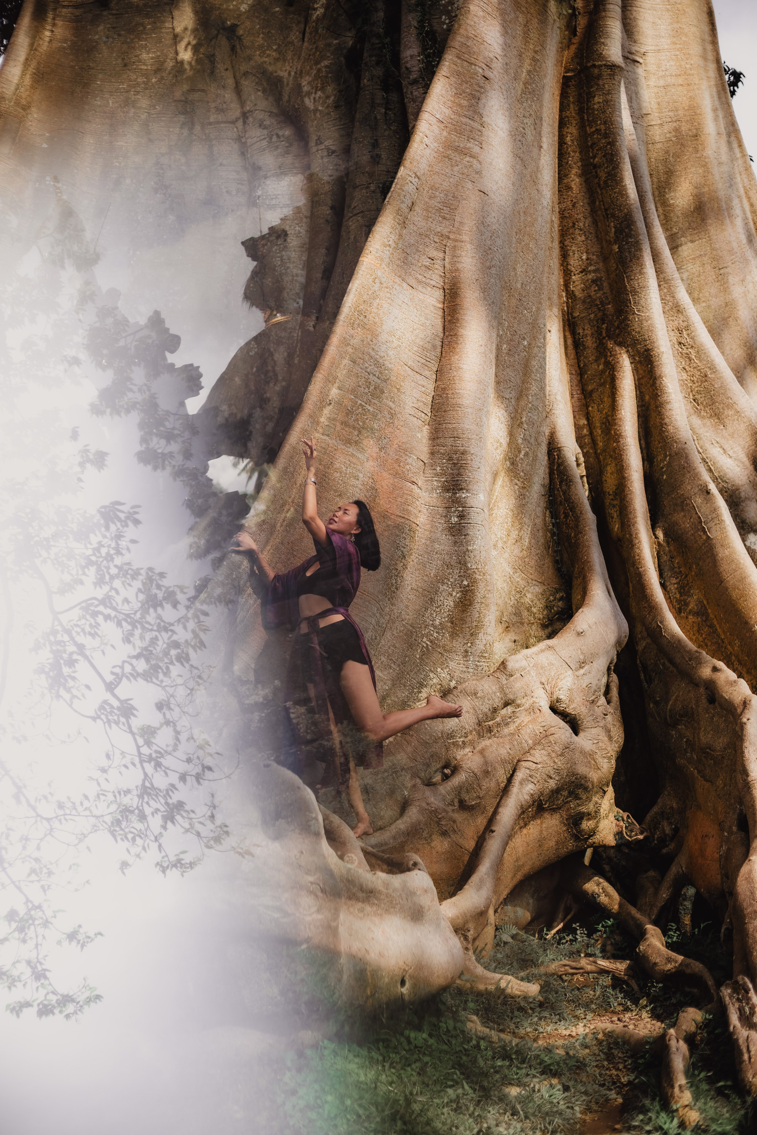 Banyan date. Mariam Bagdasaryan