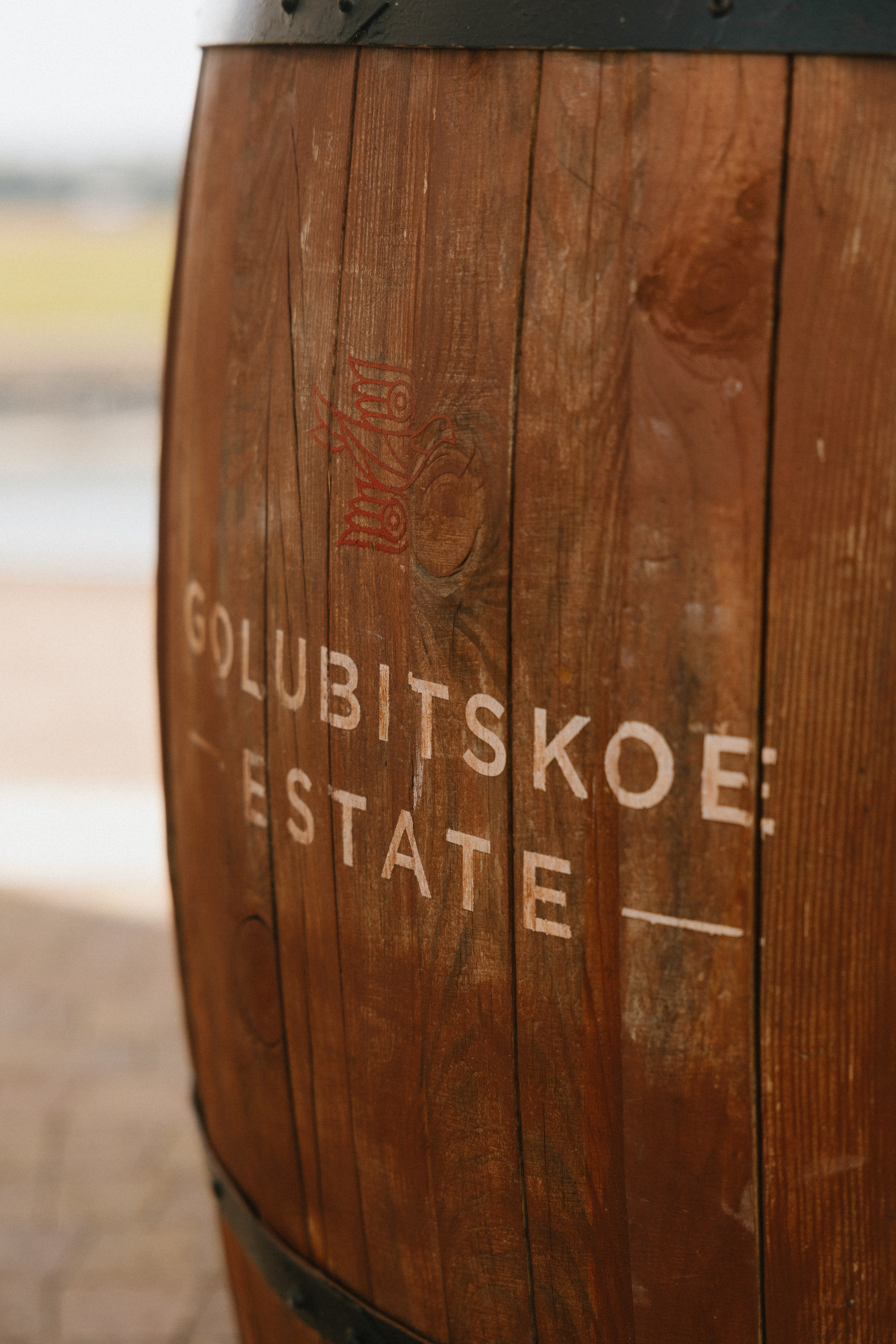 Потанцуй со мной!. Свадебный и репортажный фотограф Новороссийск, Краснодар, Сочи Олеся Дзюба