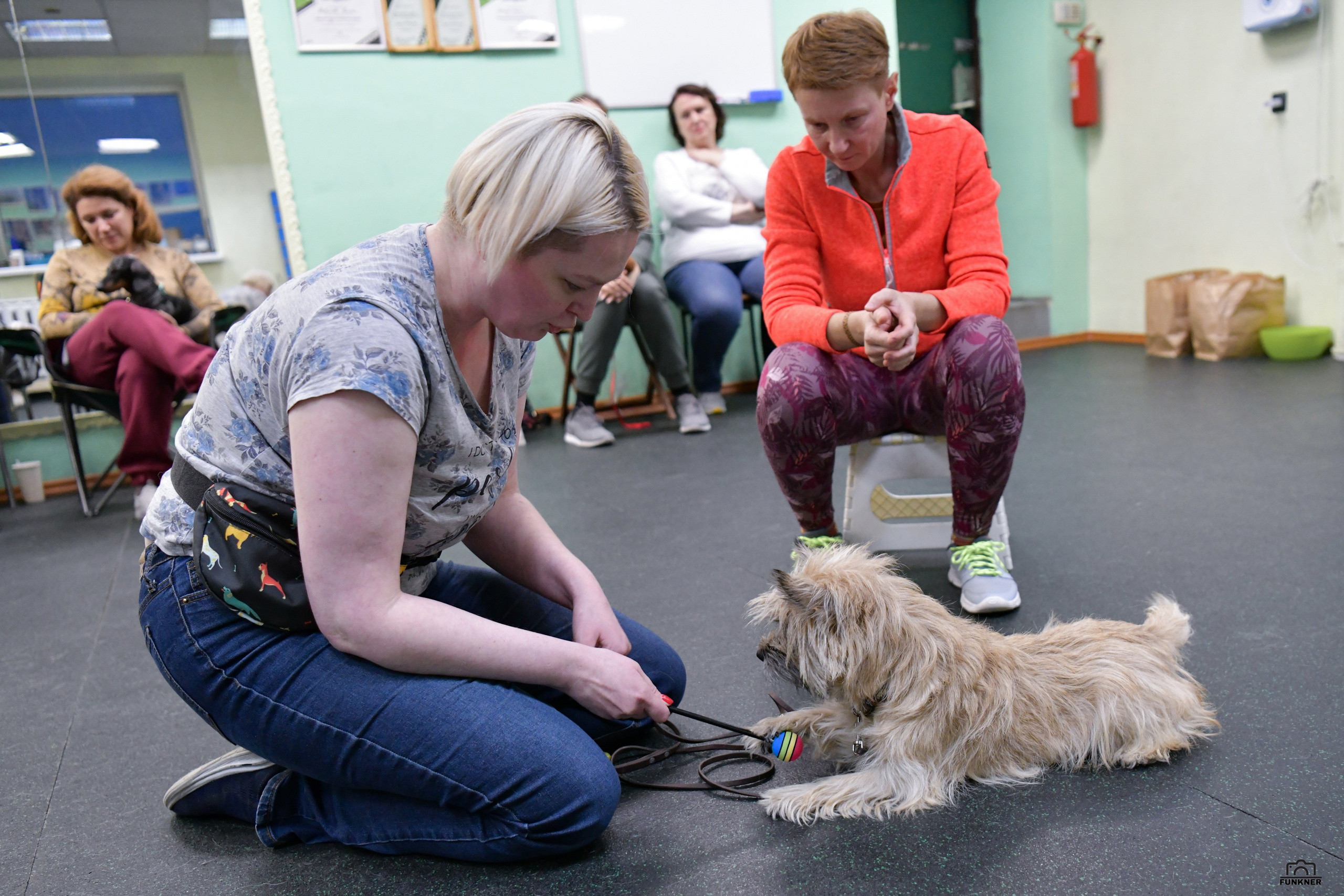 Кинологический клуб «Бодрый хвост». Свой взгляд через объектив
