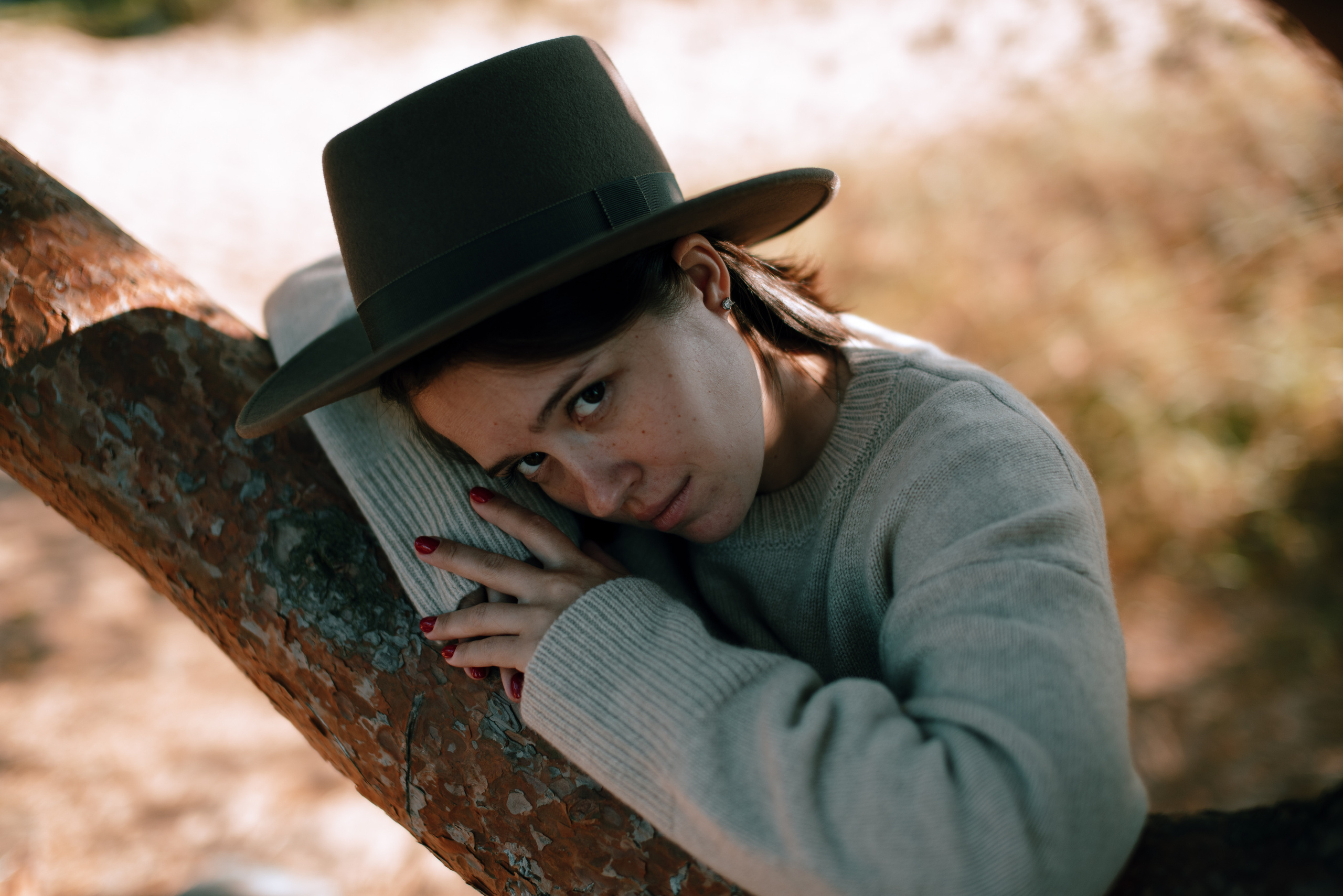 Солнечное. Fotograf Beograd — Tsvetkova Marija