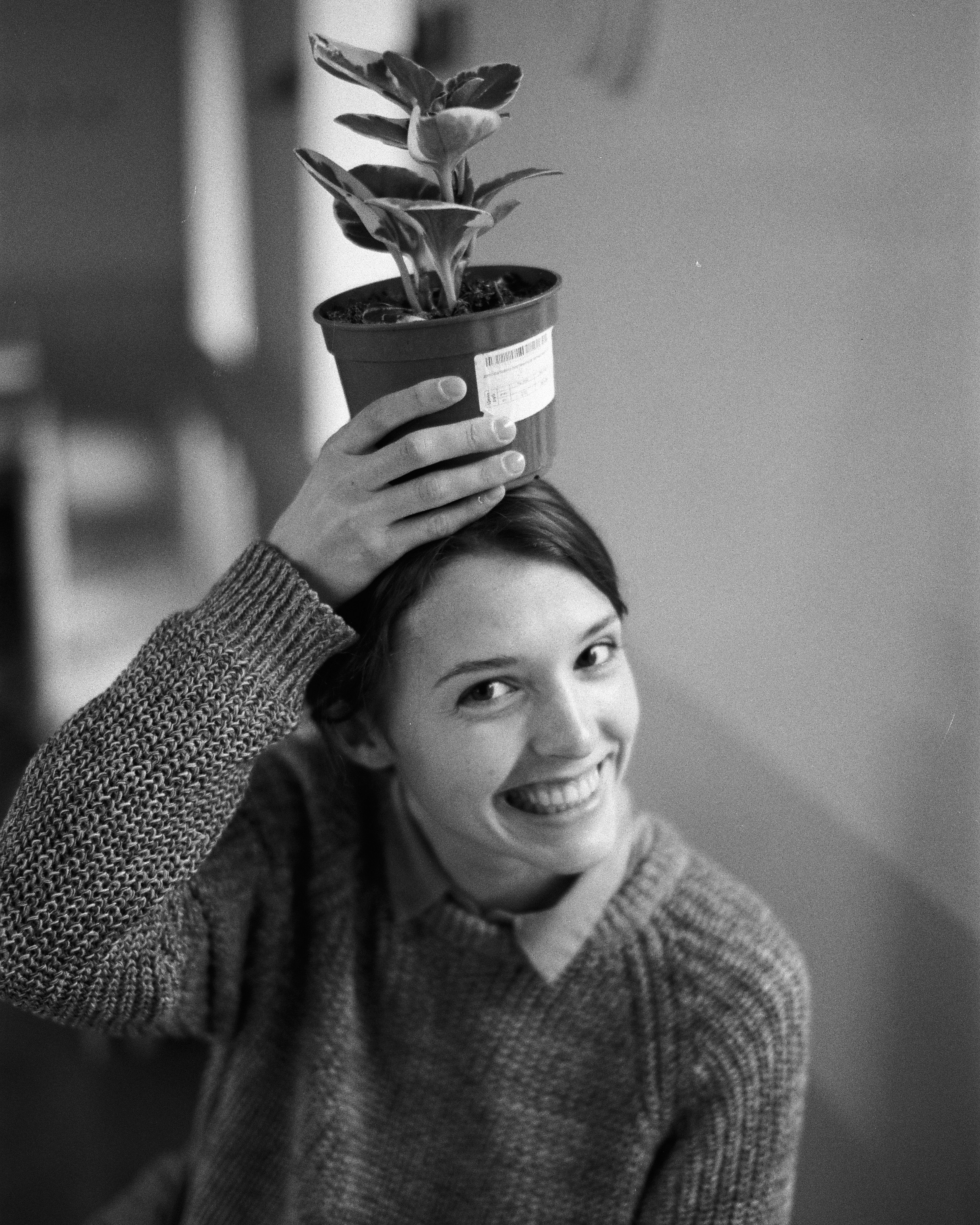 BARBARA. Photographer Belgrade — Tsvetkova Maria