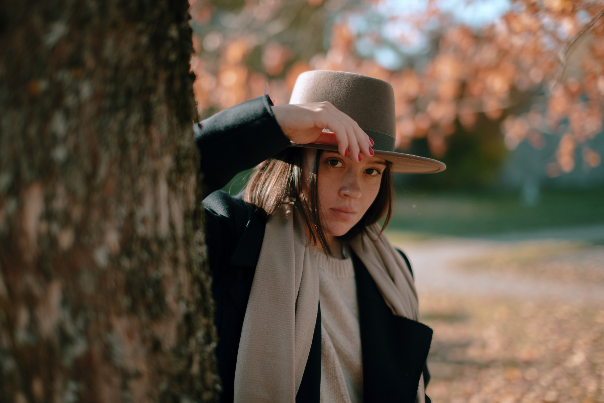 Солнечное. Fotograf Beograd — Tsvetkova Marija