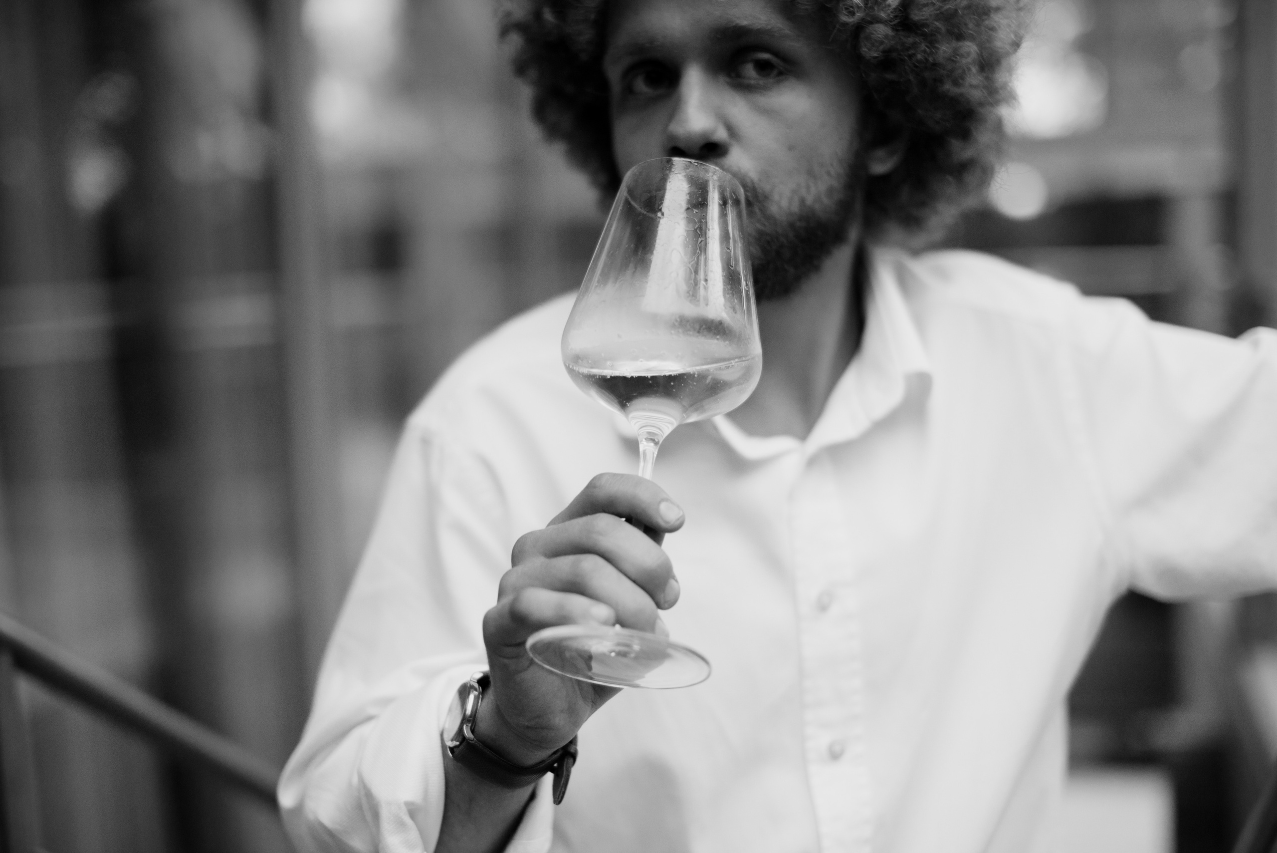 N&C. Fotograf Beograd — Tsvetkova Marija