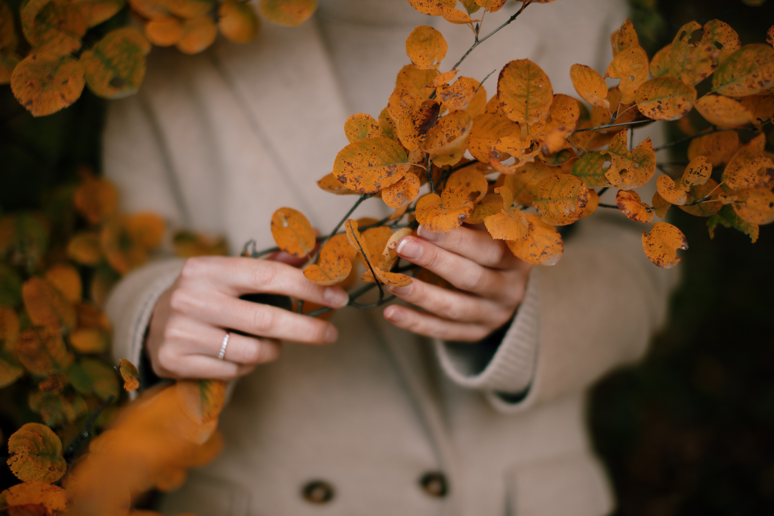 Екатерина. Photographer Belgrade — Tsvetkova Maria