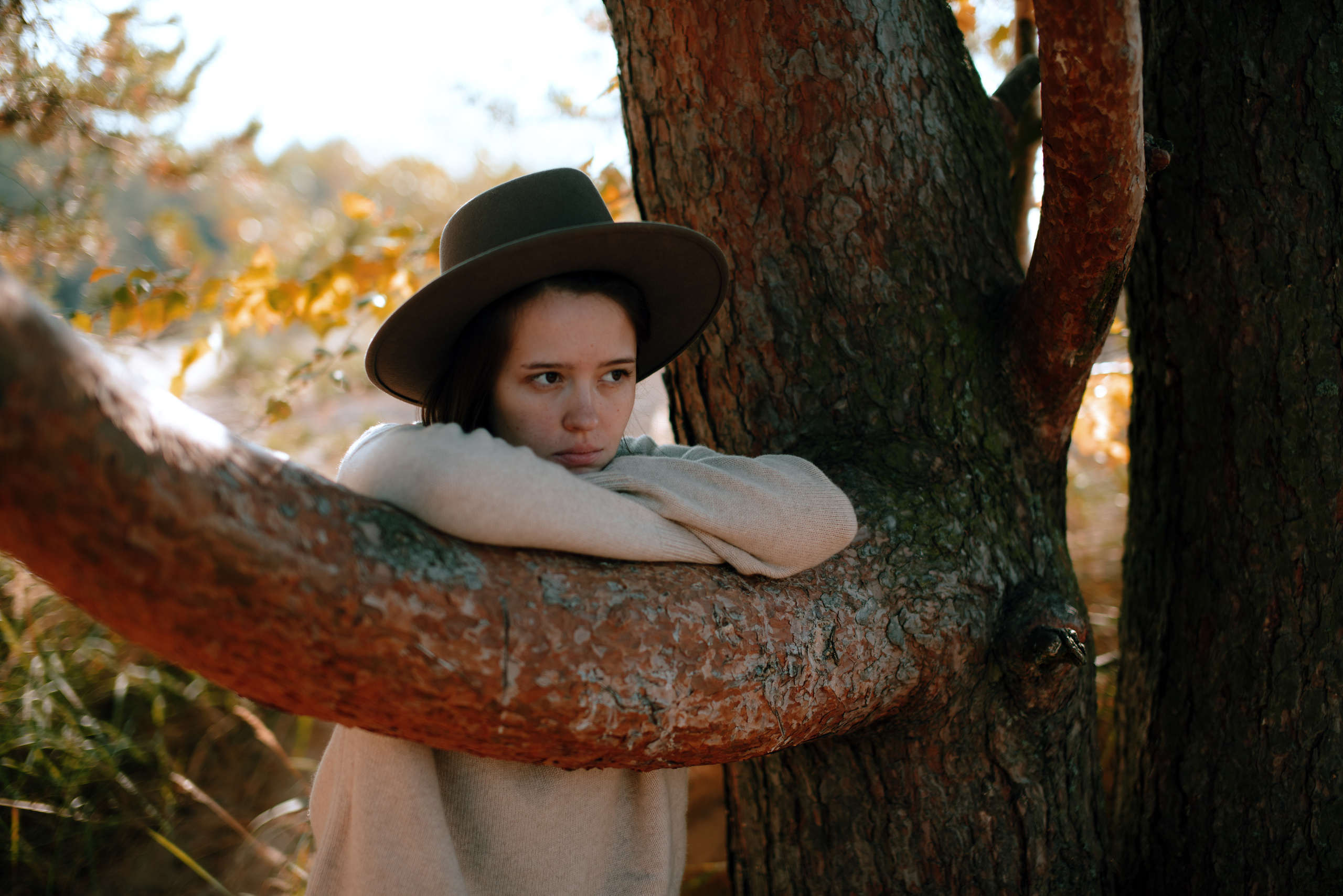 Солнечное. Fotograf Beograd — Tsvetkova Marija