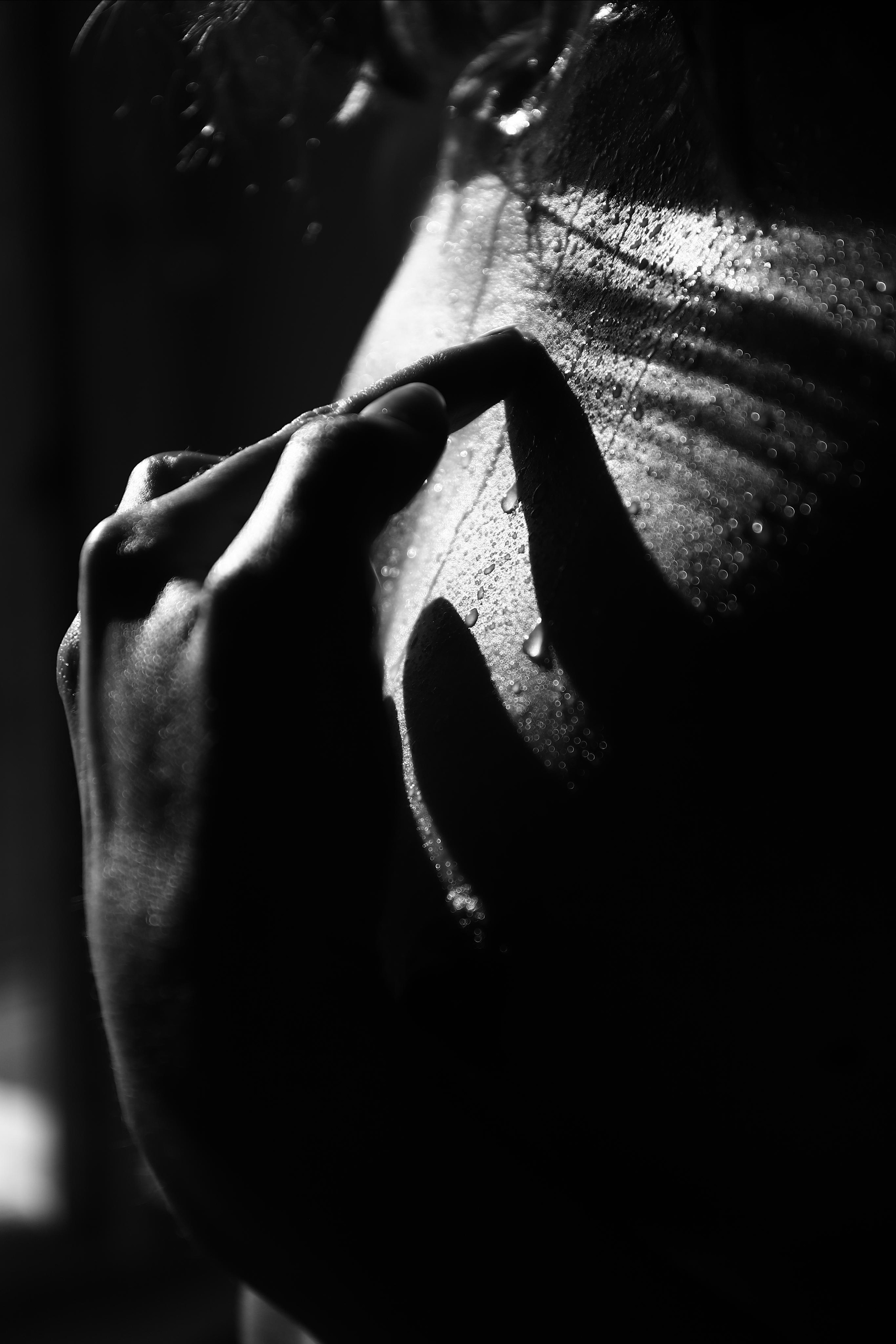 Солнечная сторона Москвы. Фотограф — художник в Москве Васильева Юлия