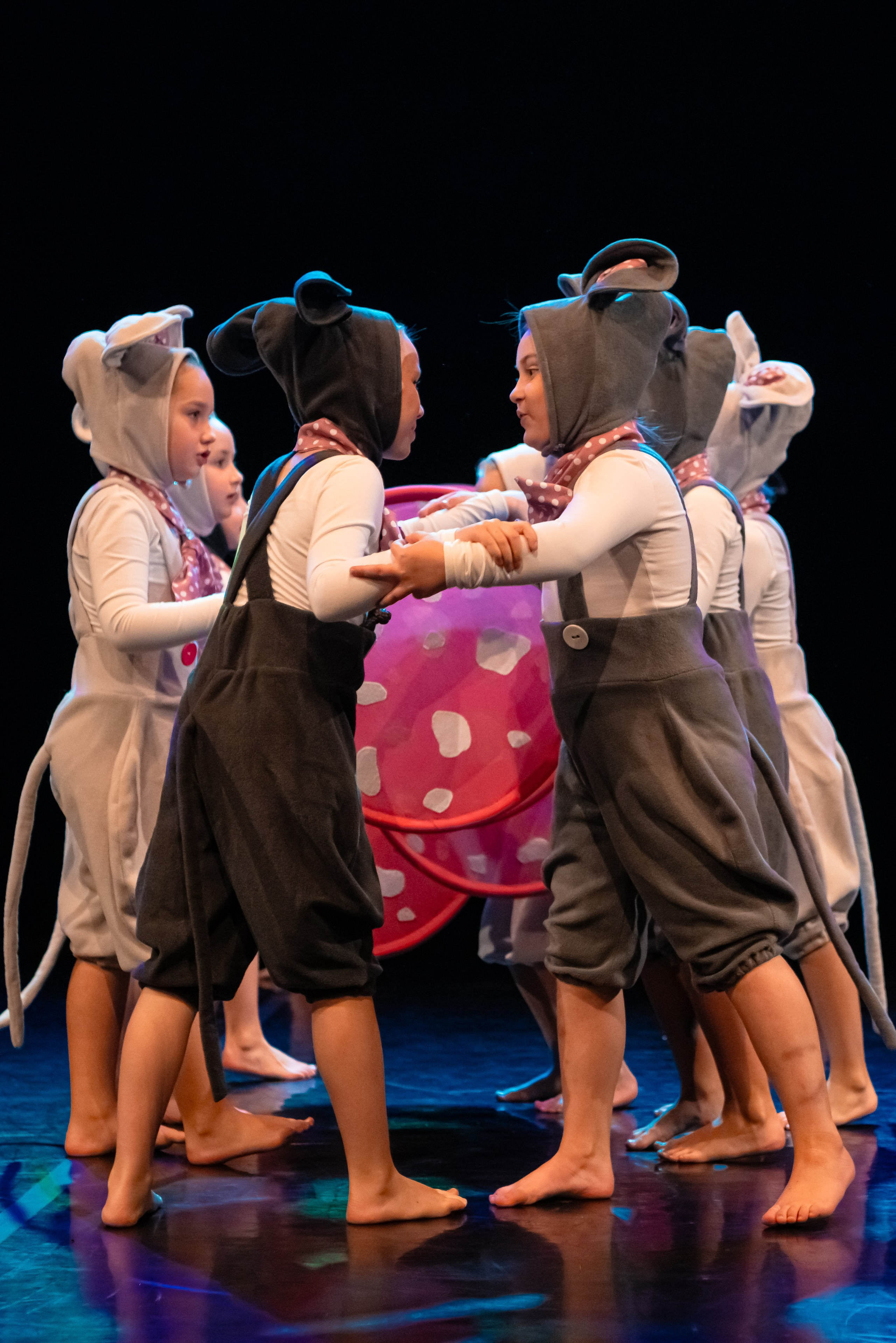 Зодиак. Семейный концерт. Репортажный фотограф в Санкт-Петербурге Алексеева Дарья