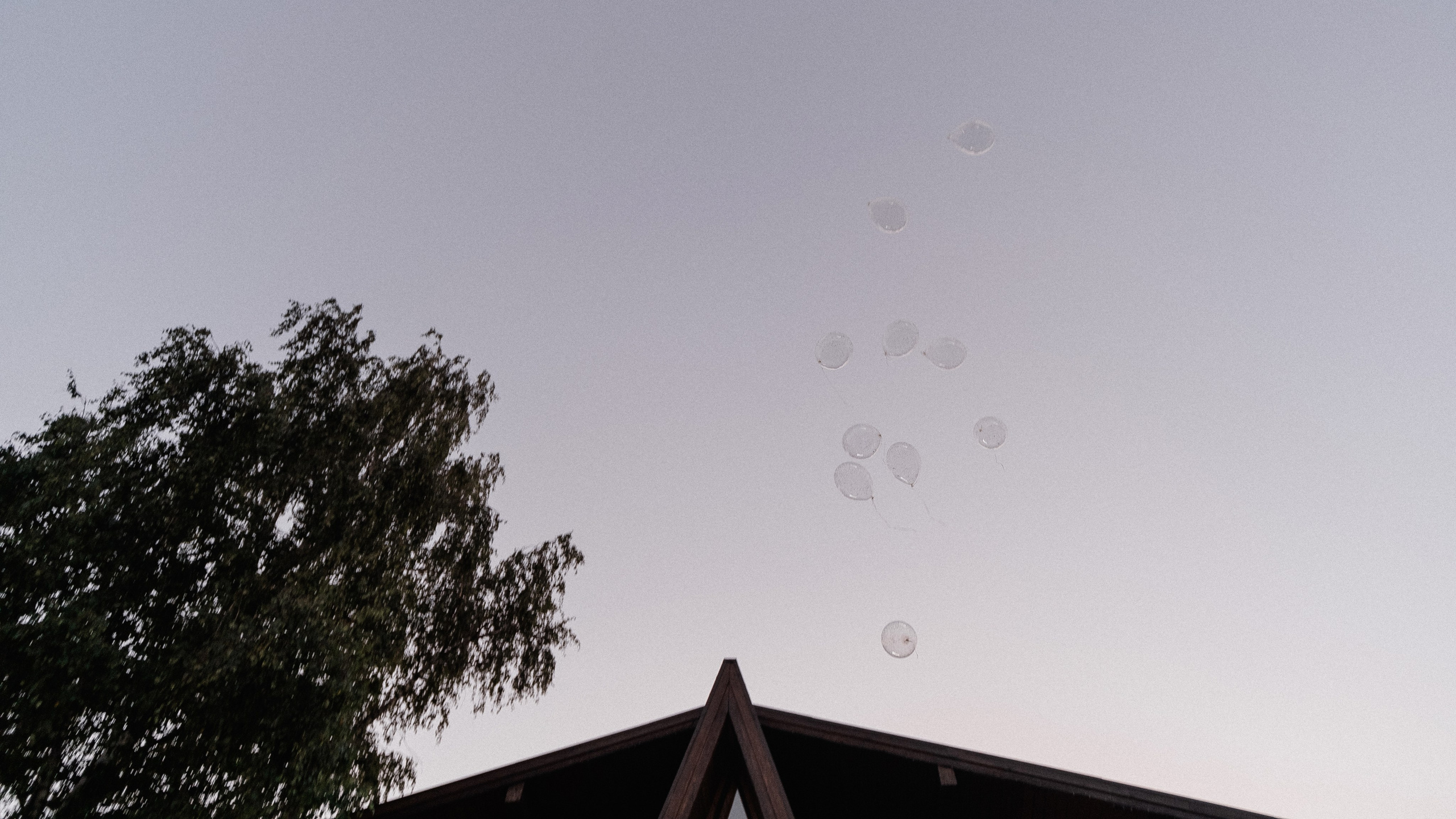 Даниил & Нина. Свадебный и семейный фотограф в Казани и Зеленодольске Ланочкин Илья