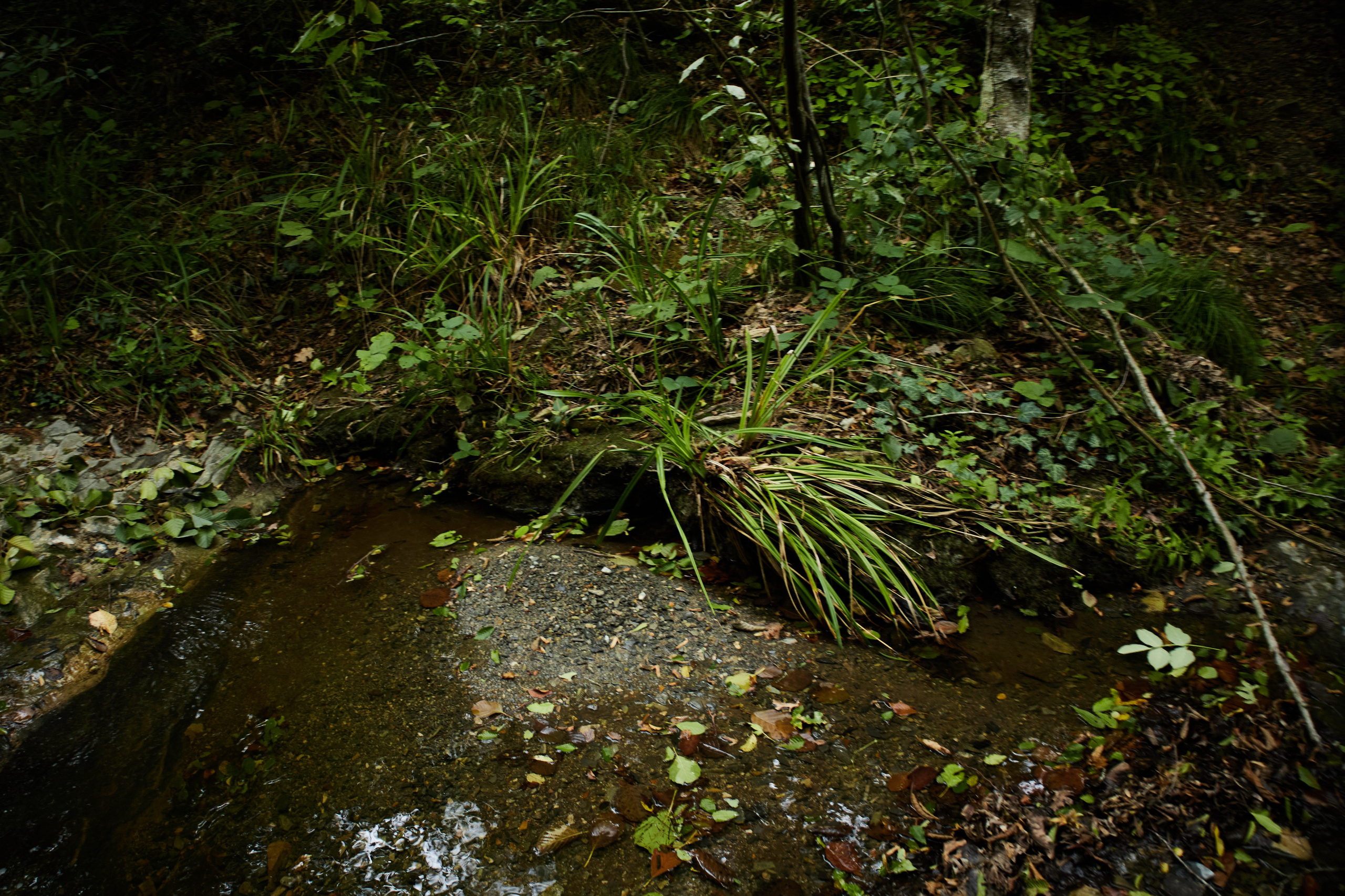 Пейзажи и уличная съёмка
