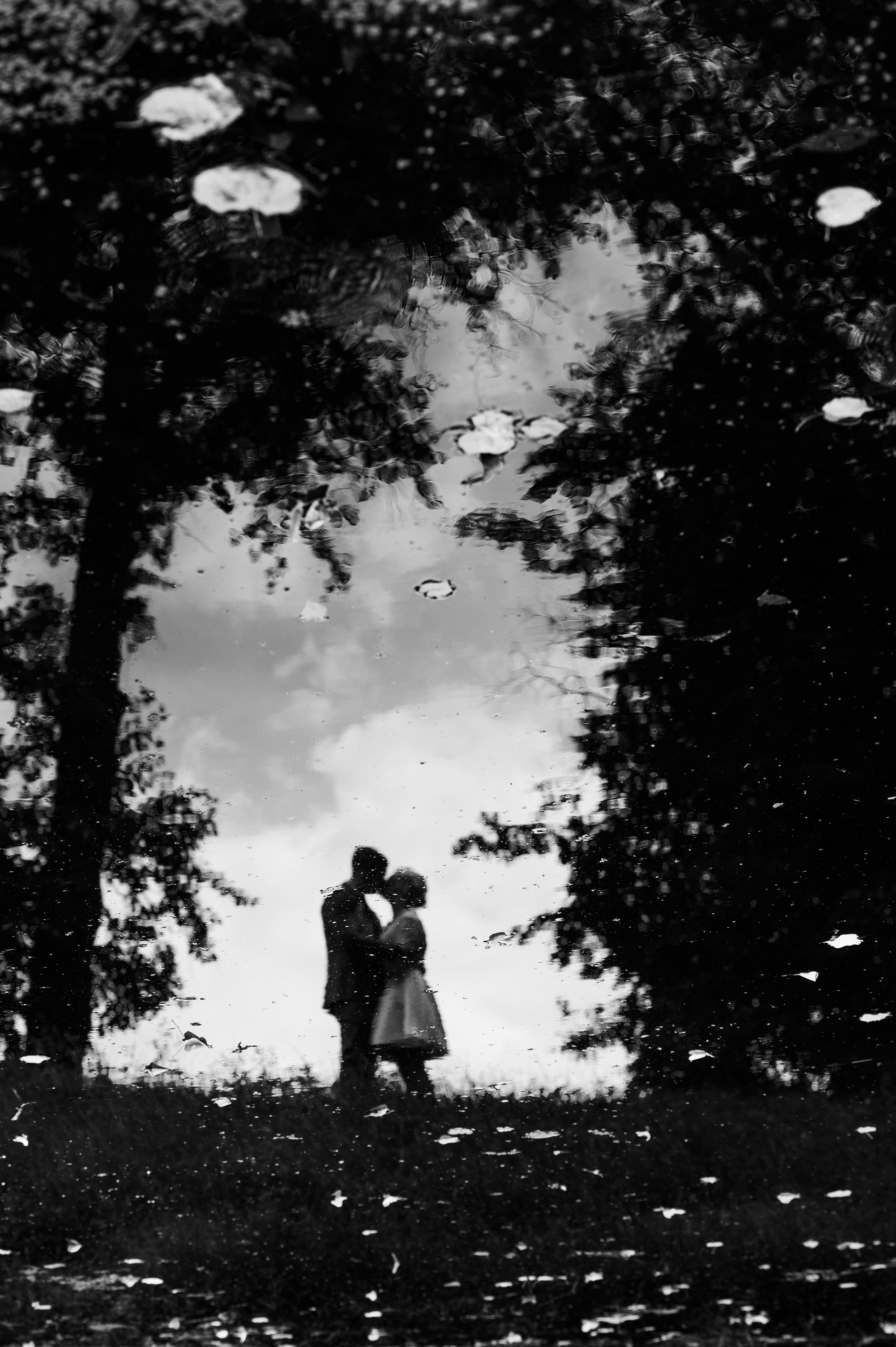 Свадьбы. Фотограф Светозар Андреев