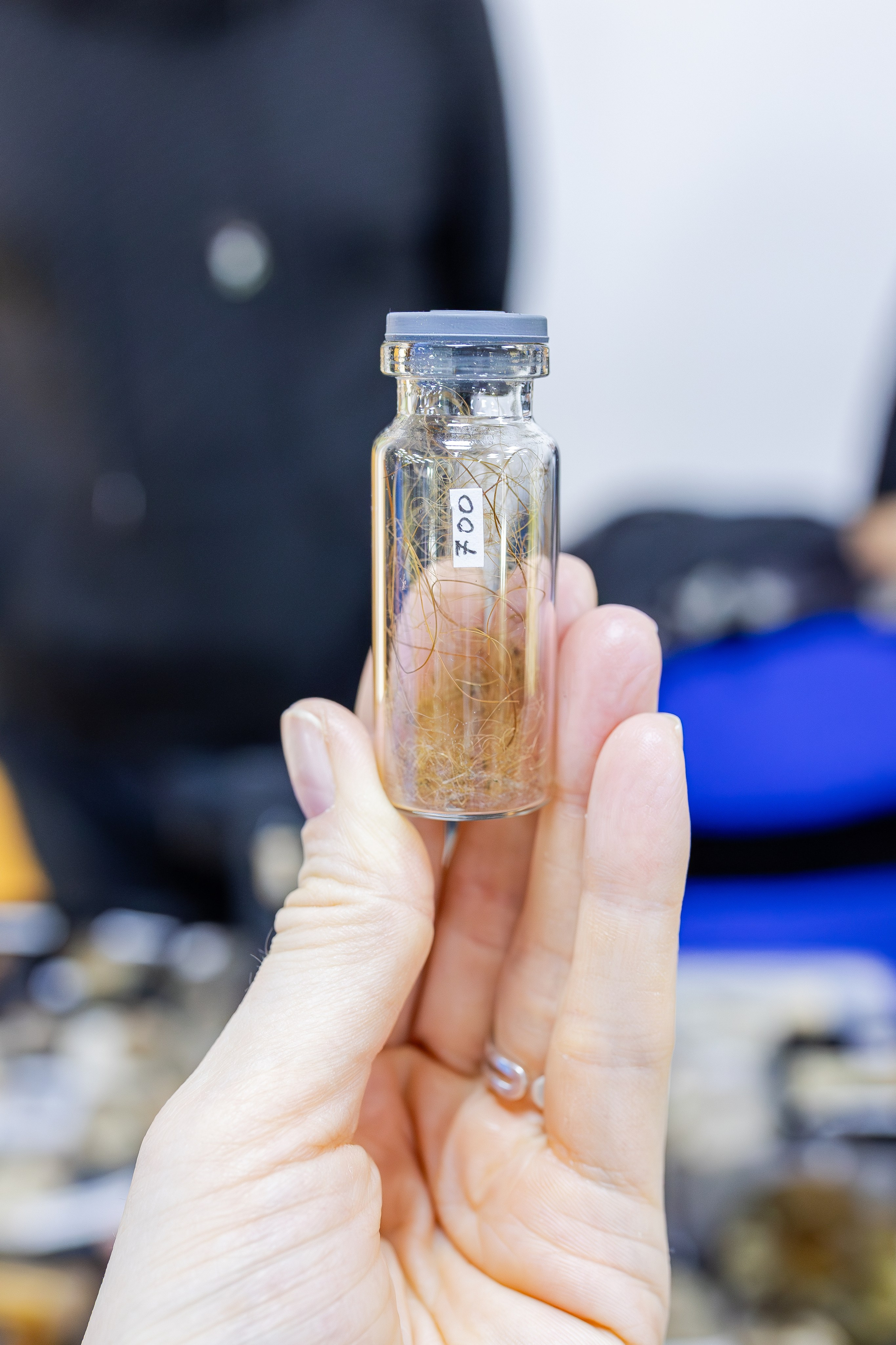 Монстериум апрель 2026. Александра Куликова фотограф, Москва