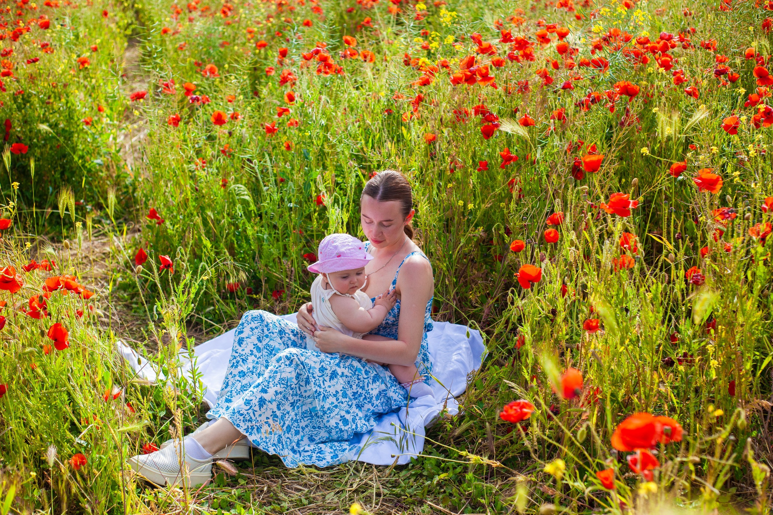 Маки. Фотограф Алёна Сергеевна Aloha_chë