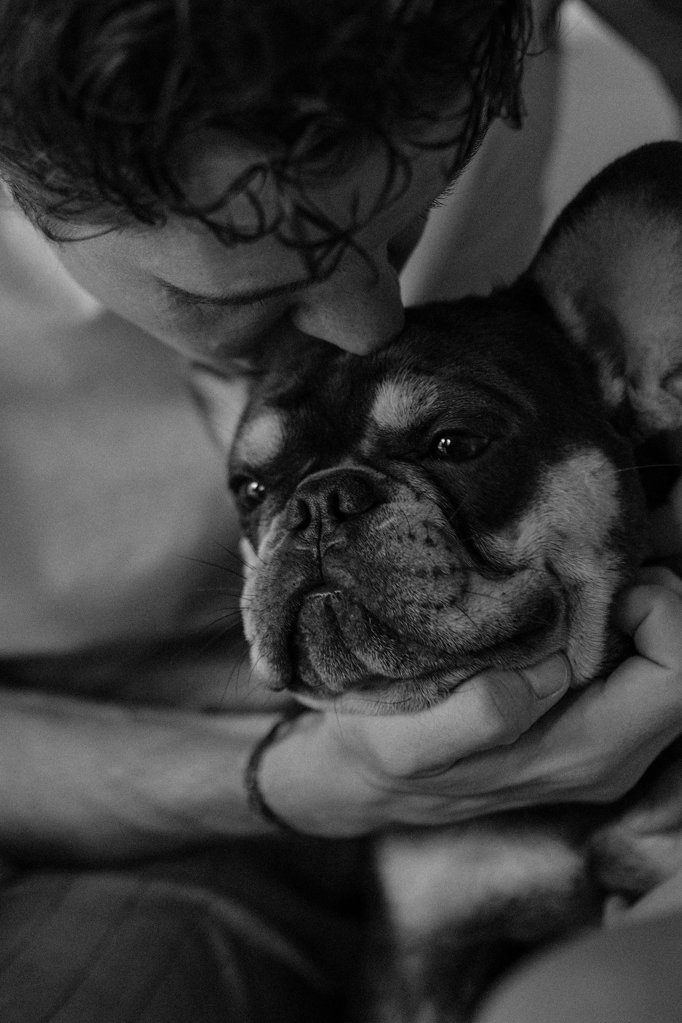 A&A. Пушистая Сова - Свадебный и портретный фотограф Воронеж, Москва, Питер