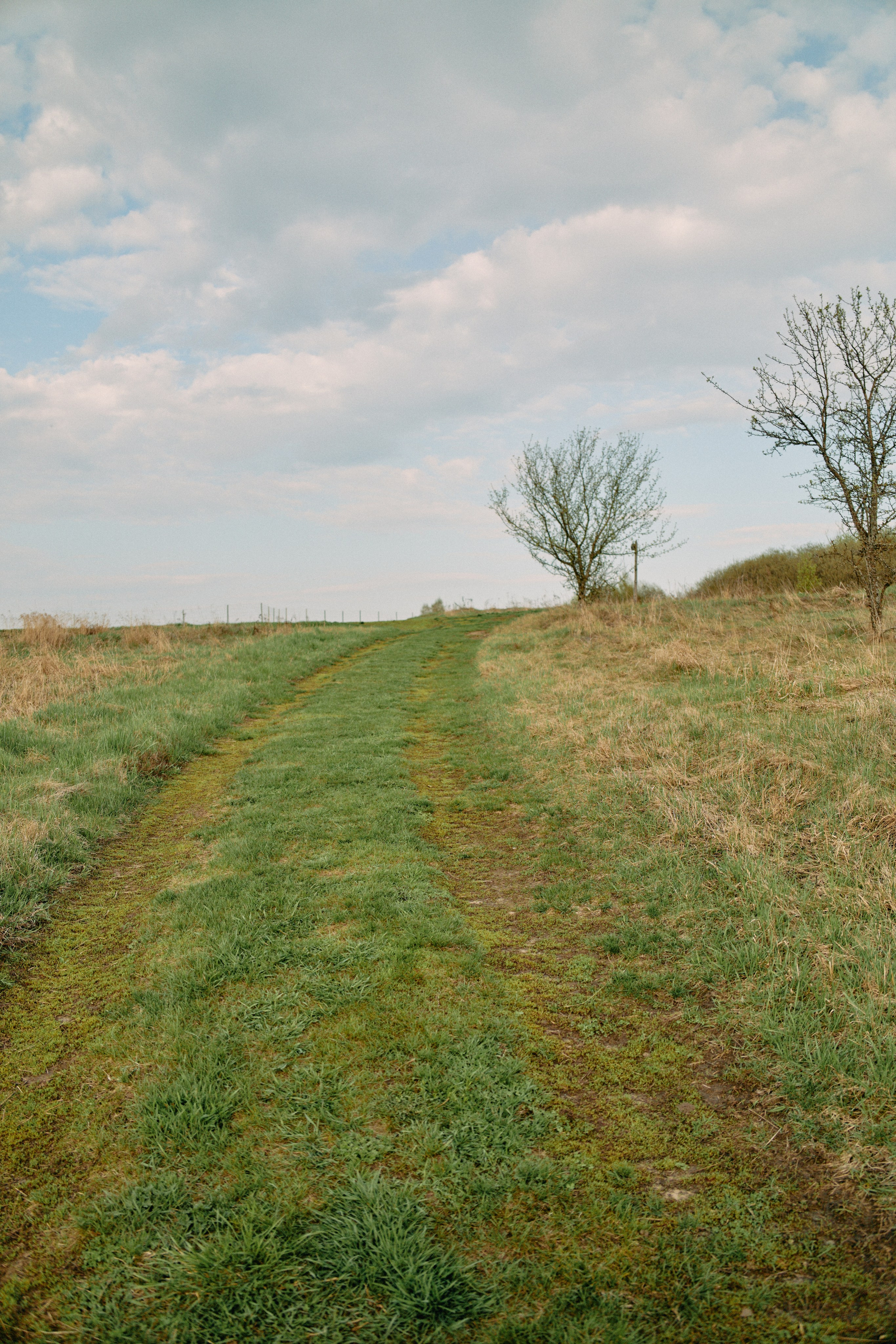 Бутик-отель Поле летом. Профессиональный Фотограф во Владимире, в Москве и в Суздале — Полина Романычева
