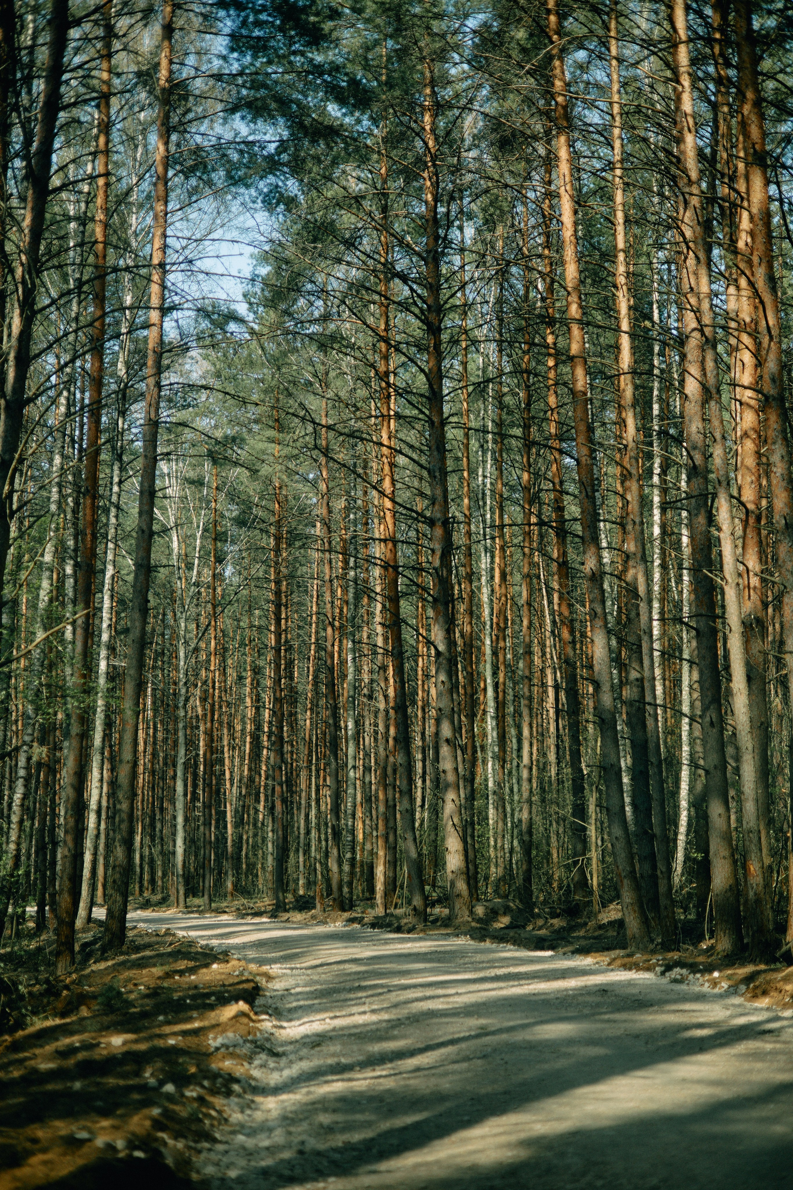 Бутик-отель Поле летом. Профессиональный Фотограф во Владимире, в Москве и в Суздале — Полина Романычева