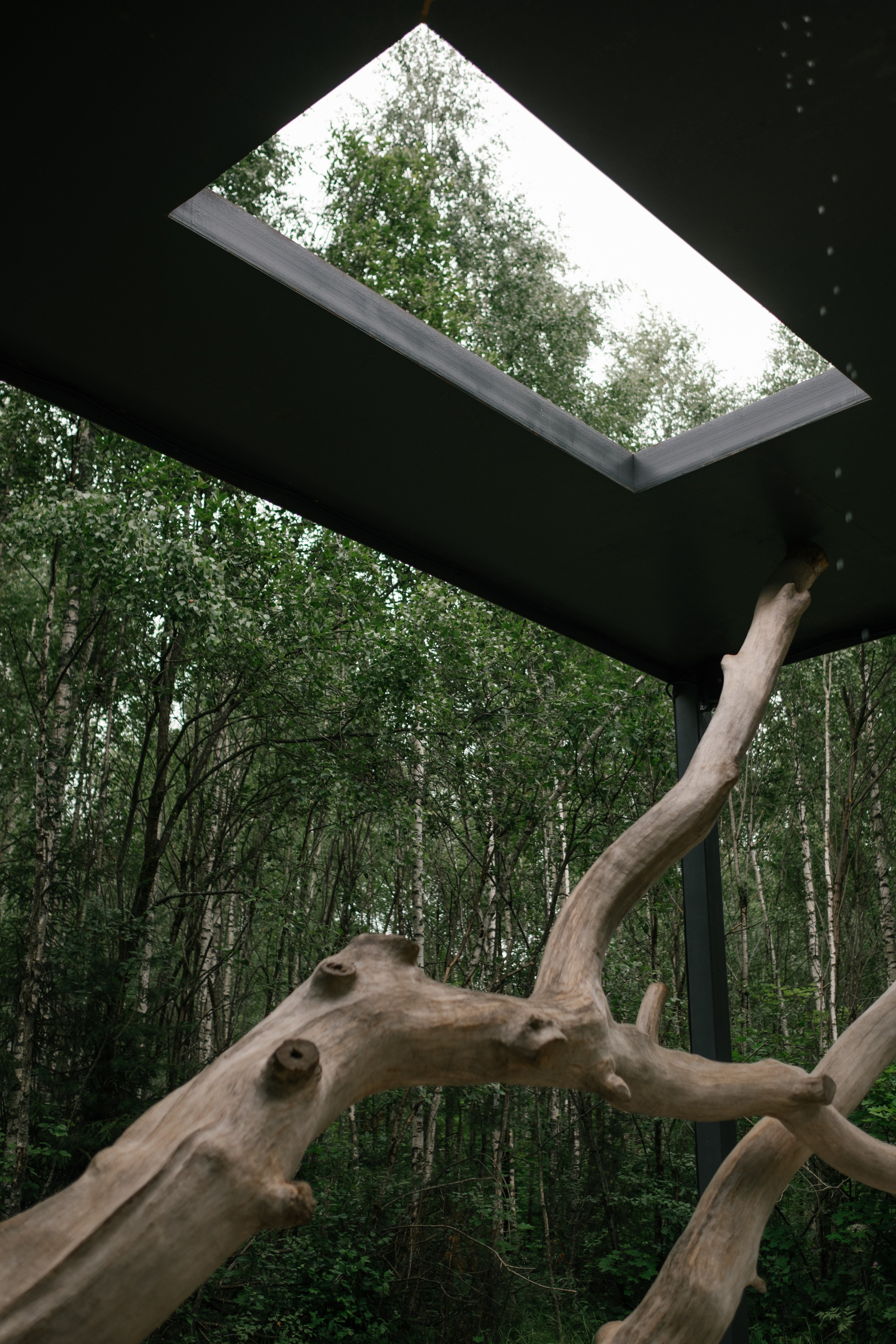 Репортажи. Портретный и репортажный фотограф в Санкт-Петербурге Дарья Сибирякова