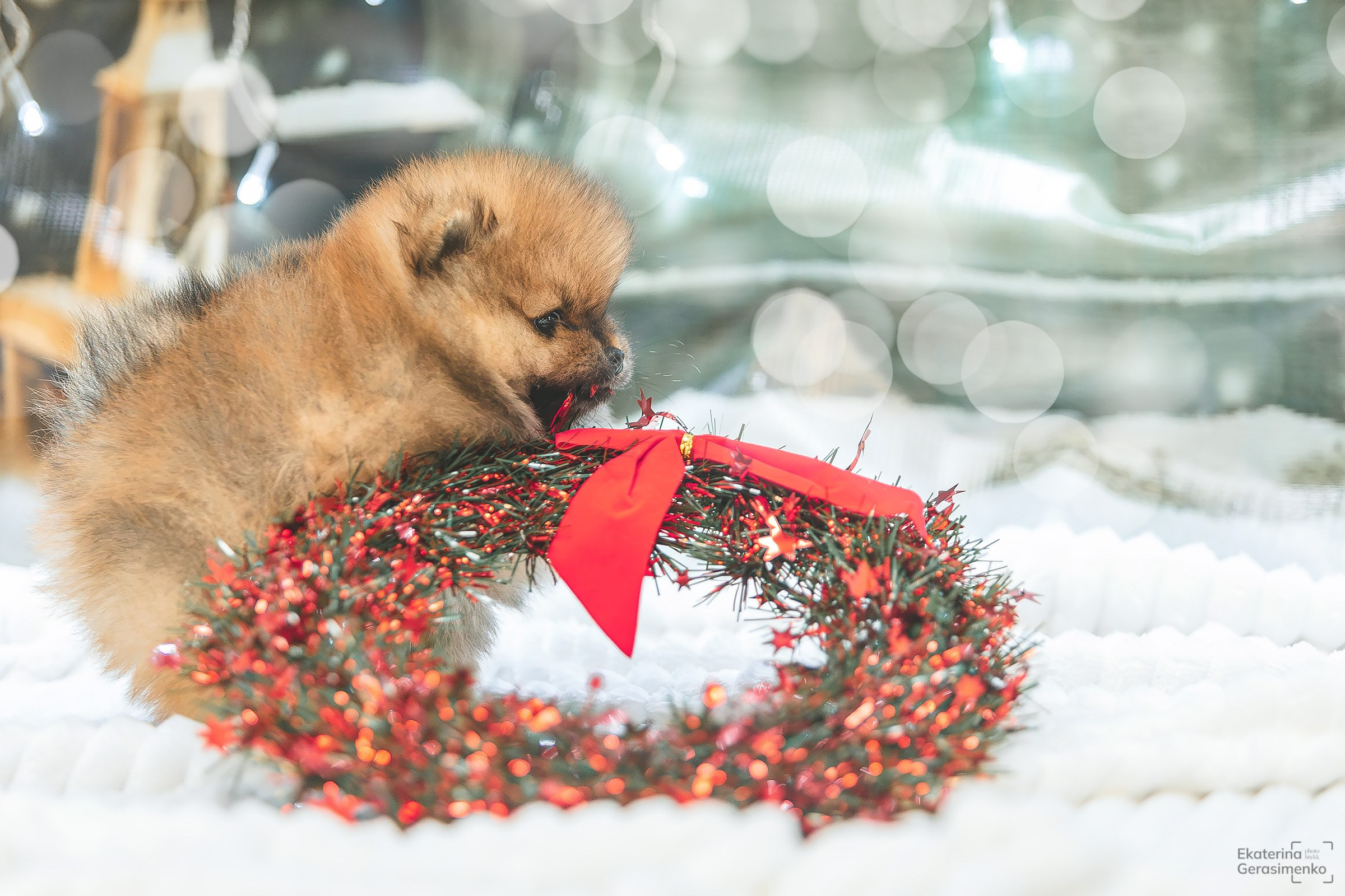 Фотодень. Htykk_photo