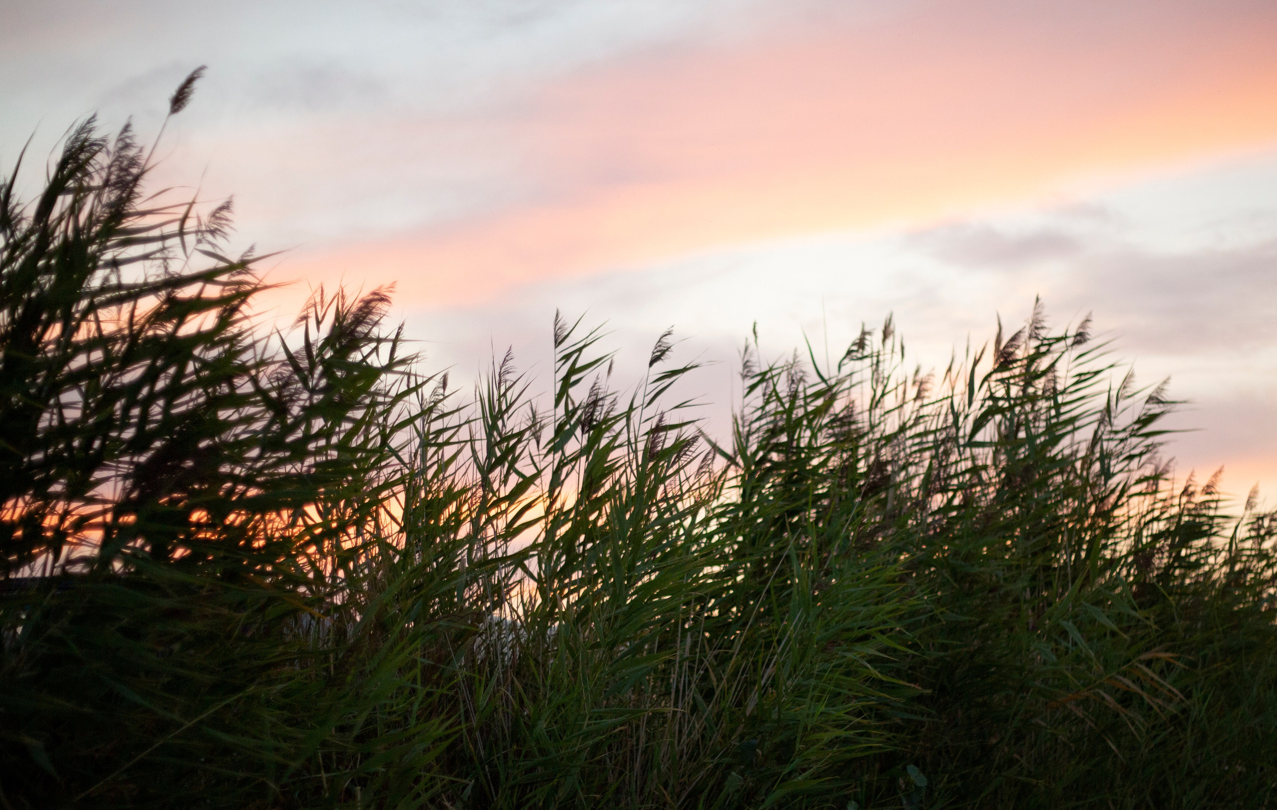 Просто красиво. Детский и семейный фотограф Барнаул Татьяна Губанова