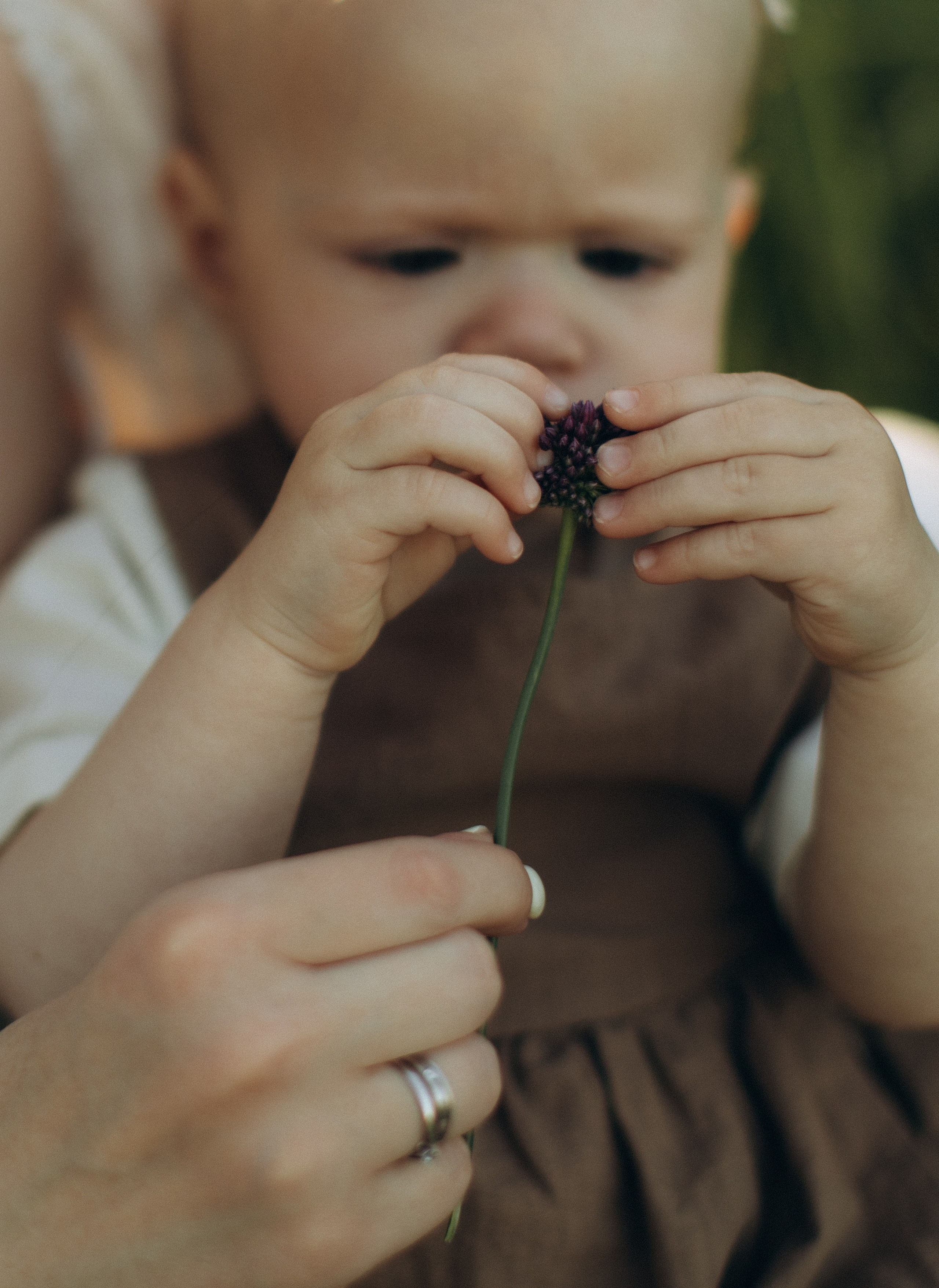 Семейная история Настя, Леша и София. Семейный фотограф в Ростове-на-Дону Мария Ожогина