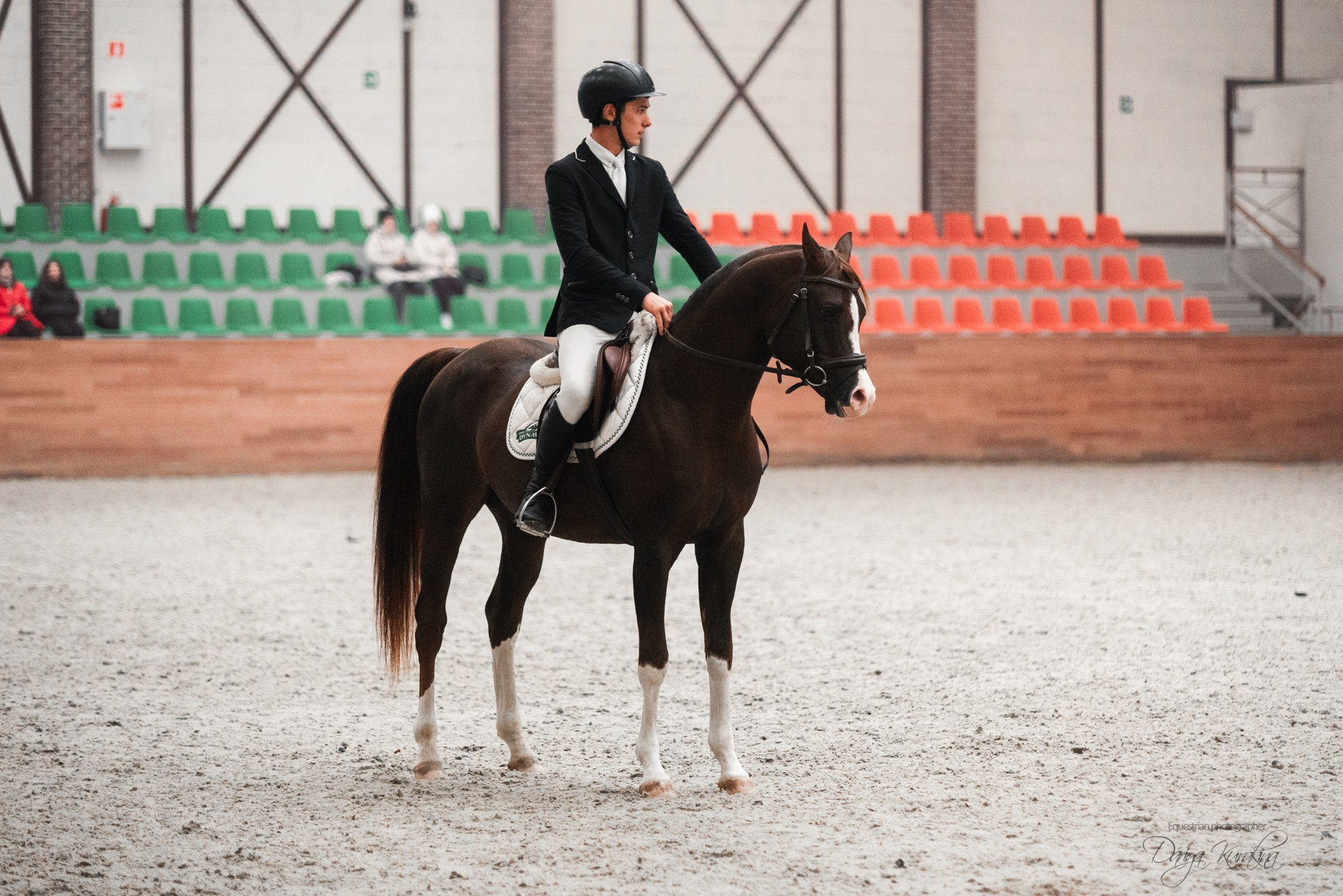 8-я международная выставка Конная Россия. Конный фотограф Куракина Дарья • Фотосессии с лошадьми