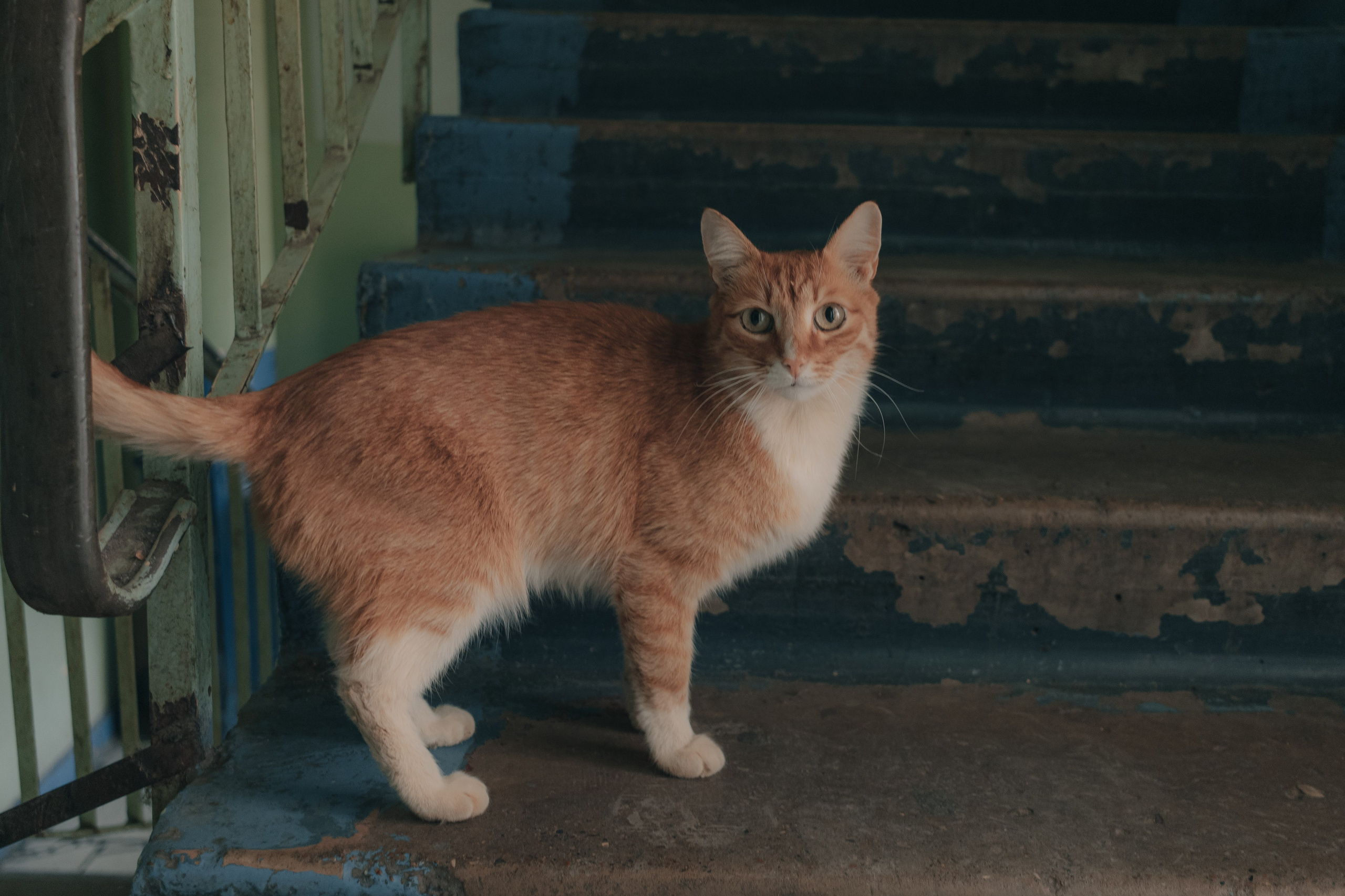 Эдик. Фотограф Набережные Челны Лысенков Олег