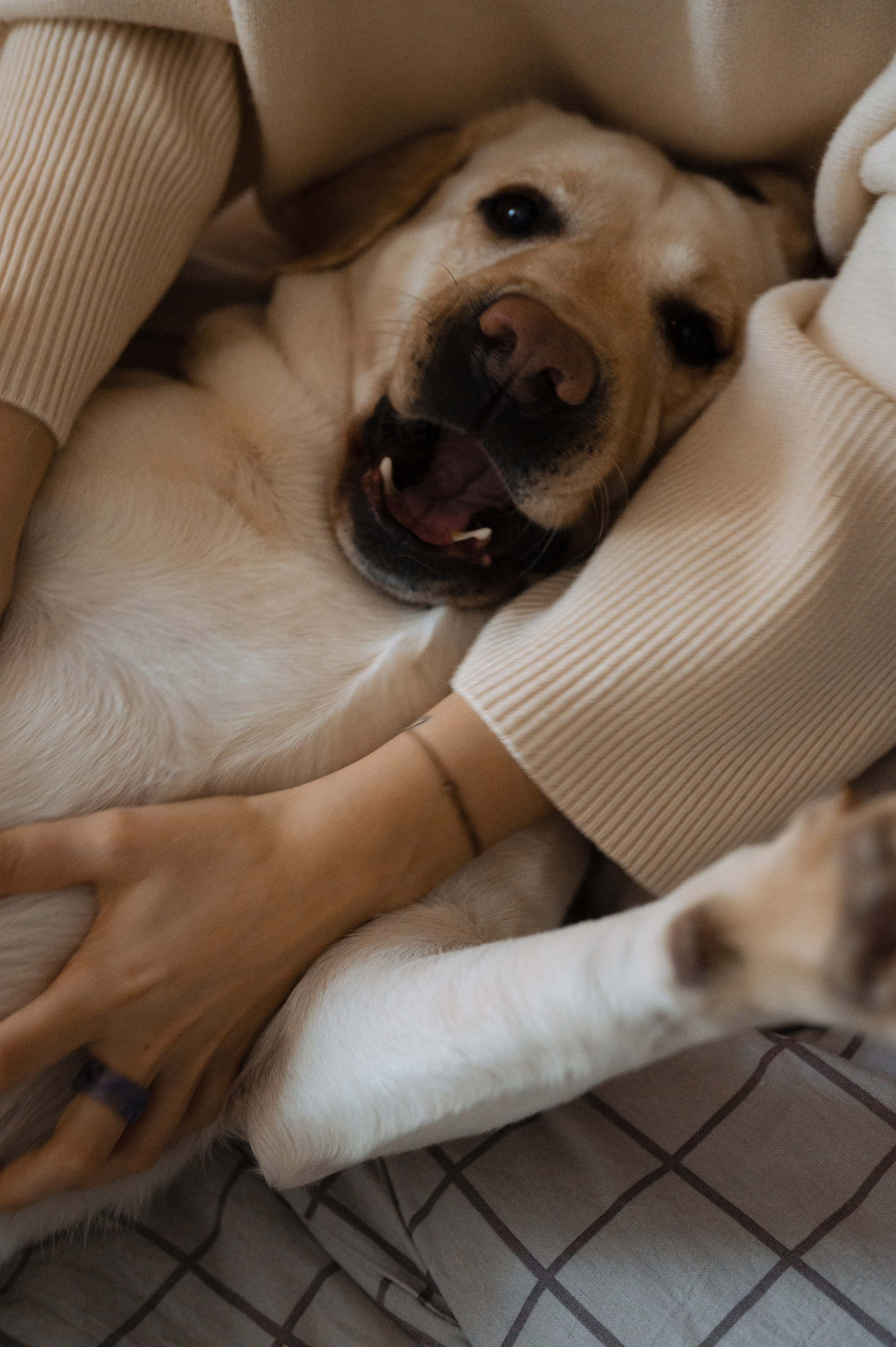 Мария и Майк, домашняя. Фотограф Красноярск Екатерина Карпеза
