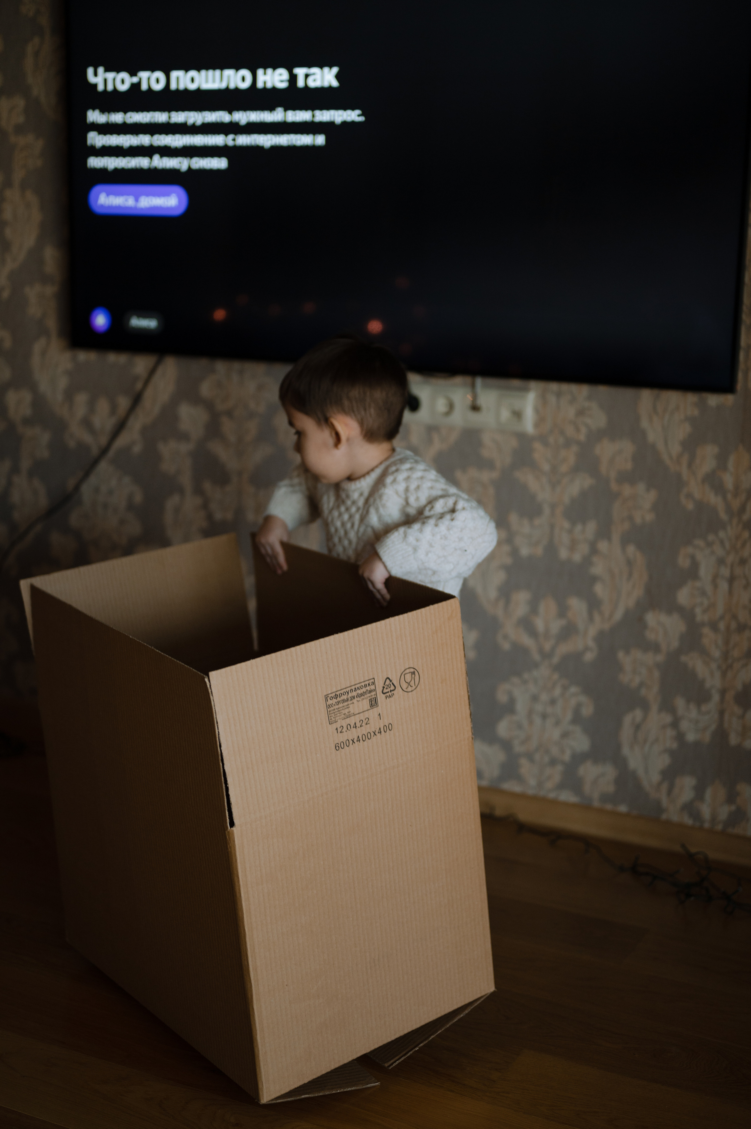 Илай и Яна, домашняя новогодняя. Фотограф Красноярск Екатерина Карпеза