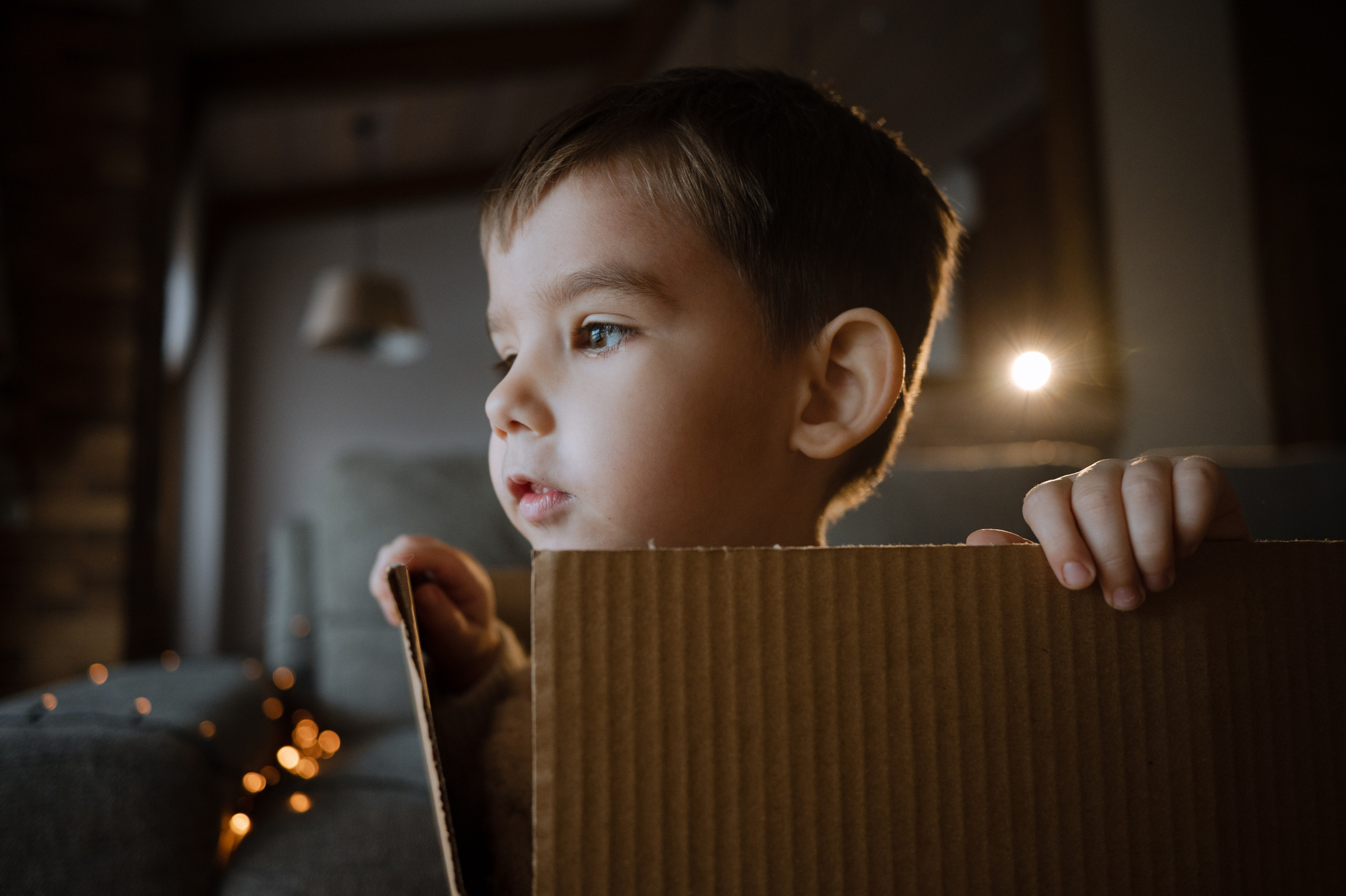 Илай и Яна, домашняя новогодняя. Фотограф Красноярск Екатерина Карпеза