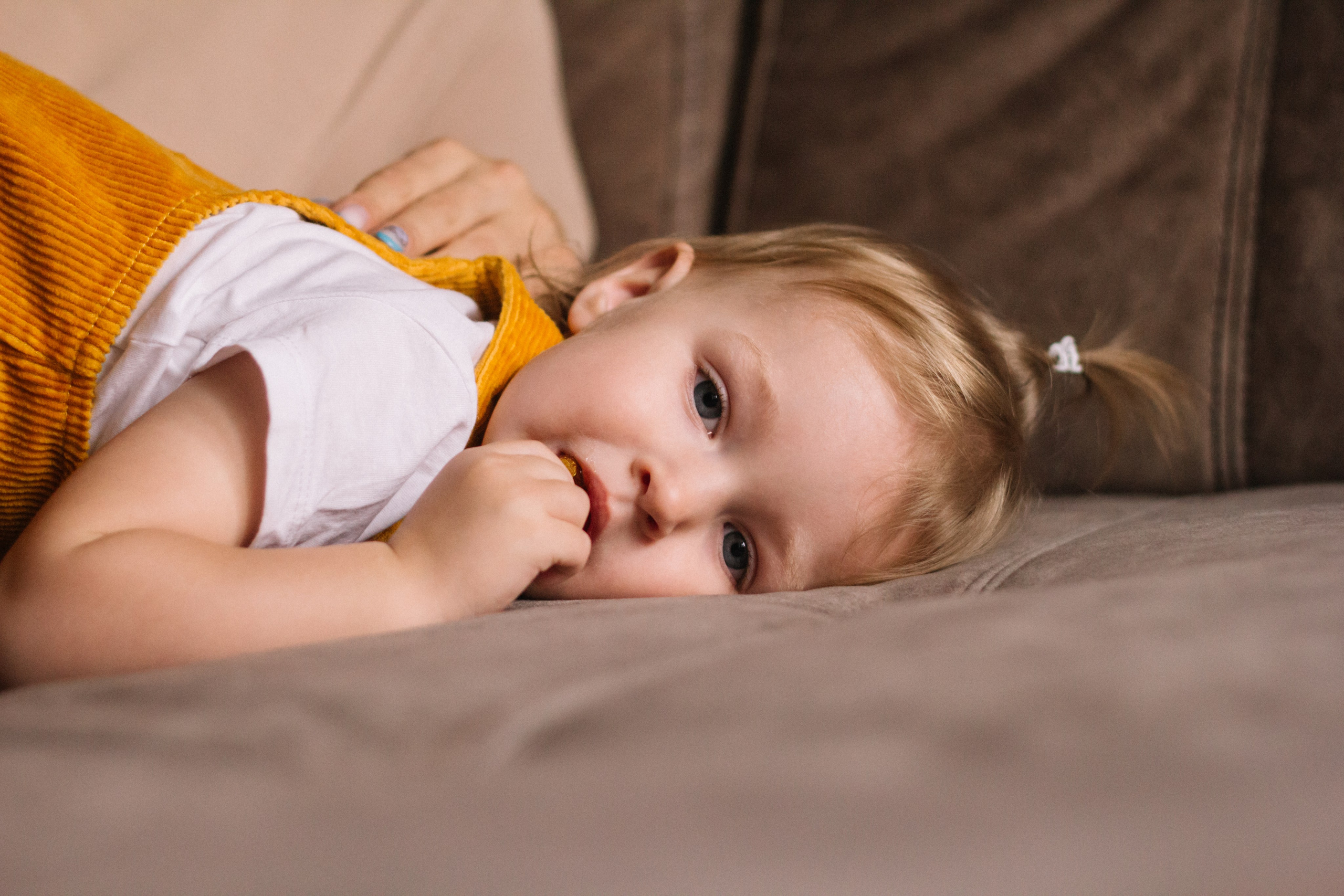 Домашняя семейная съемка. Семейный фотограф в Томске Максимова Екатерина