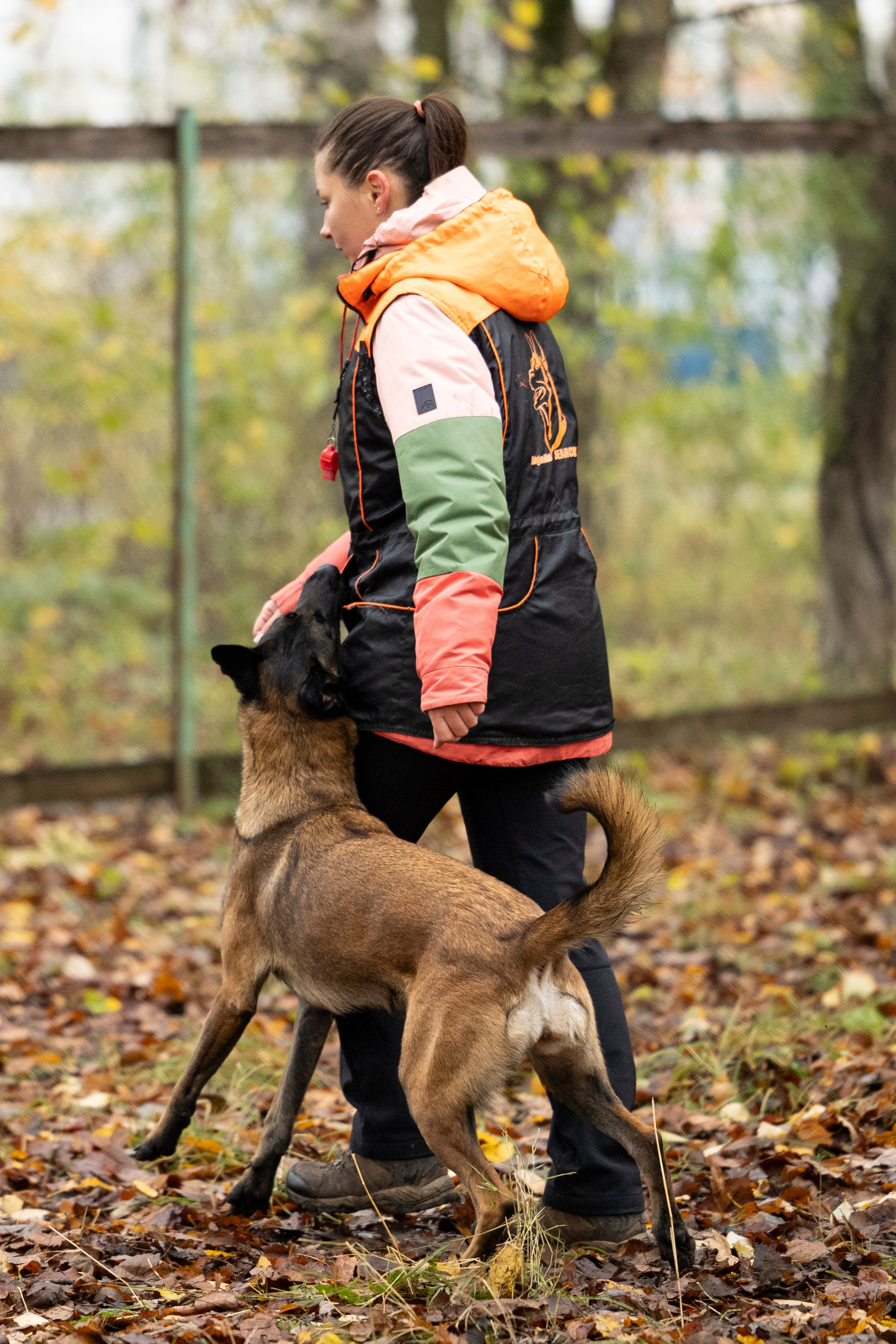Соревнования по Мондьорингу г. Вологда. Фотограф-анималист Анна Маринич