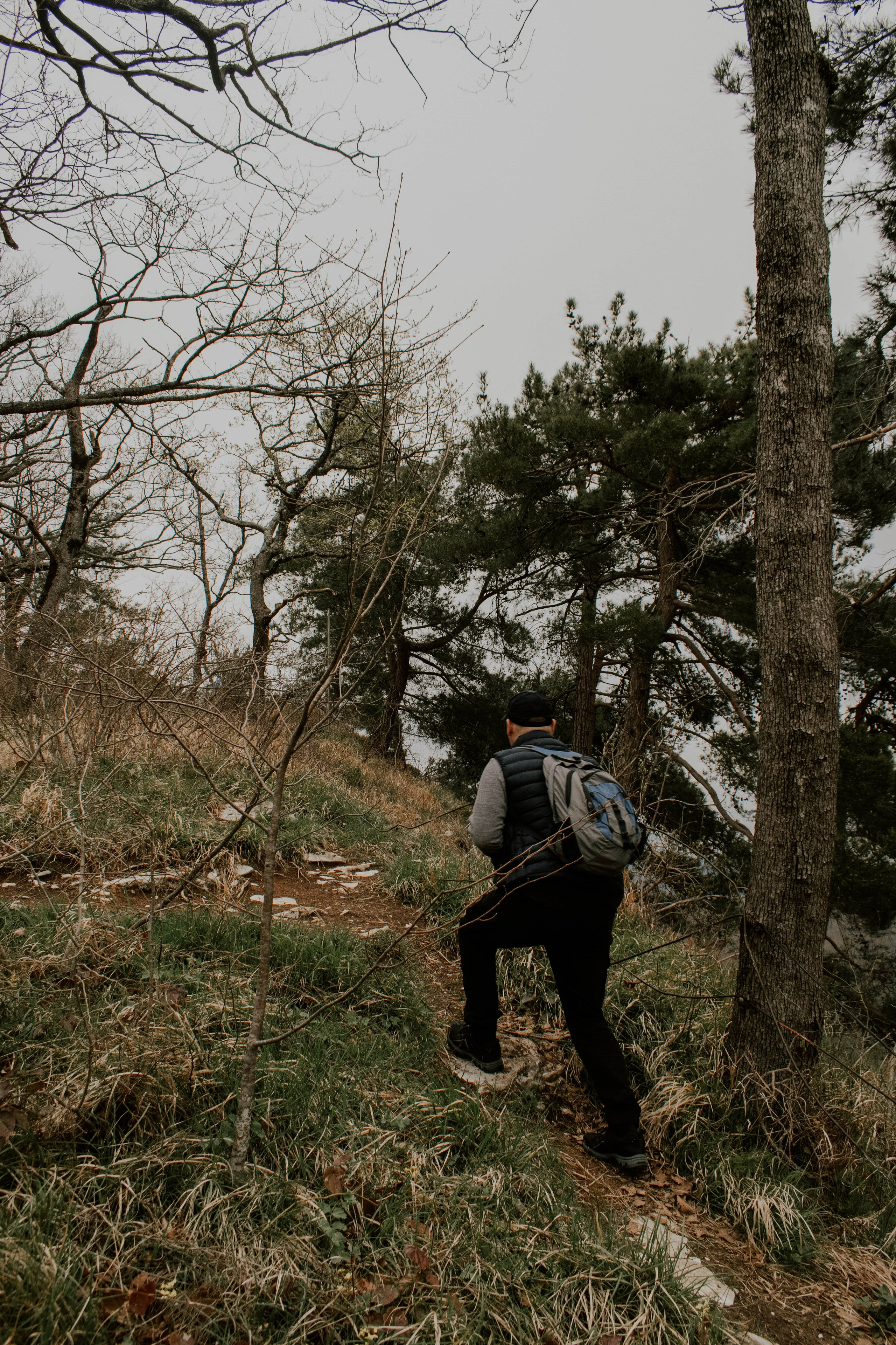 Мероприятия. Соня Мнема