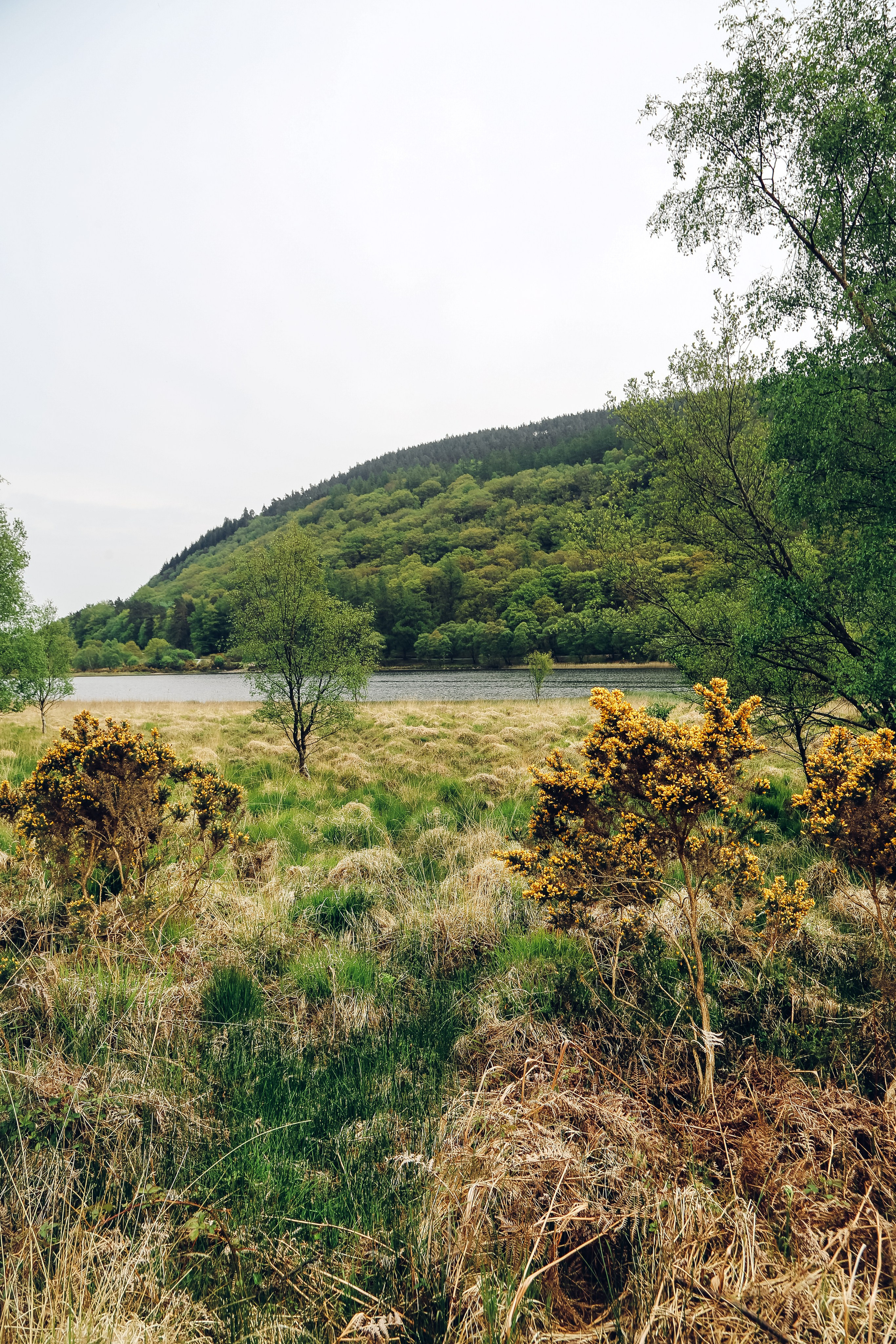Ирландия: Горы Уиклоу. Дарья Письменюк / Darya Leitstern — фотограф, музыкант, журналист, путешественник
