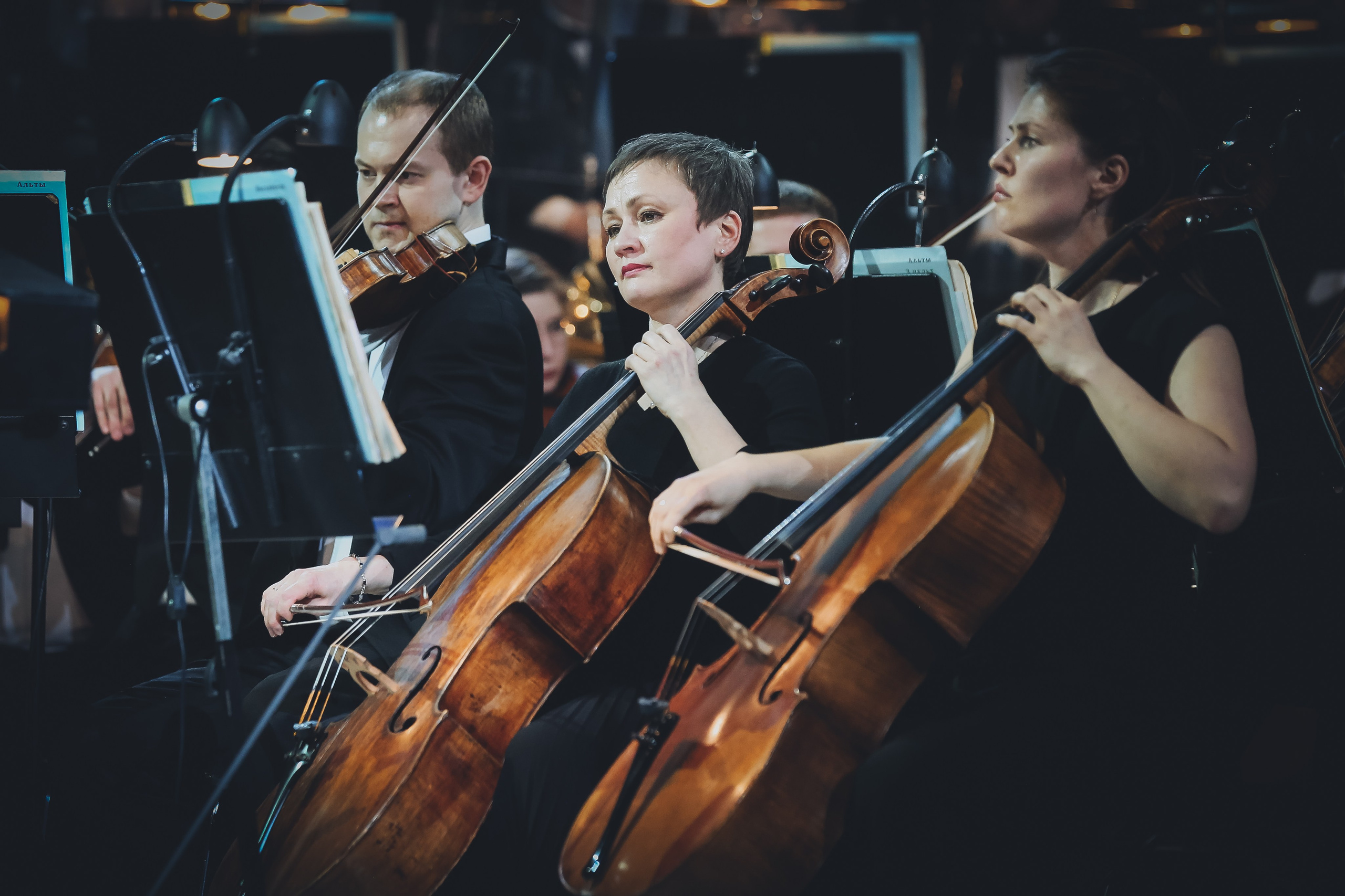 Концерт к 30-летию театра «Новая опера». Дарья Письменюк / Darya Leitstern — фотограф, музыкант, журналист, путешественник