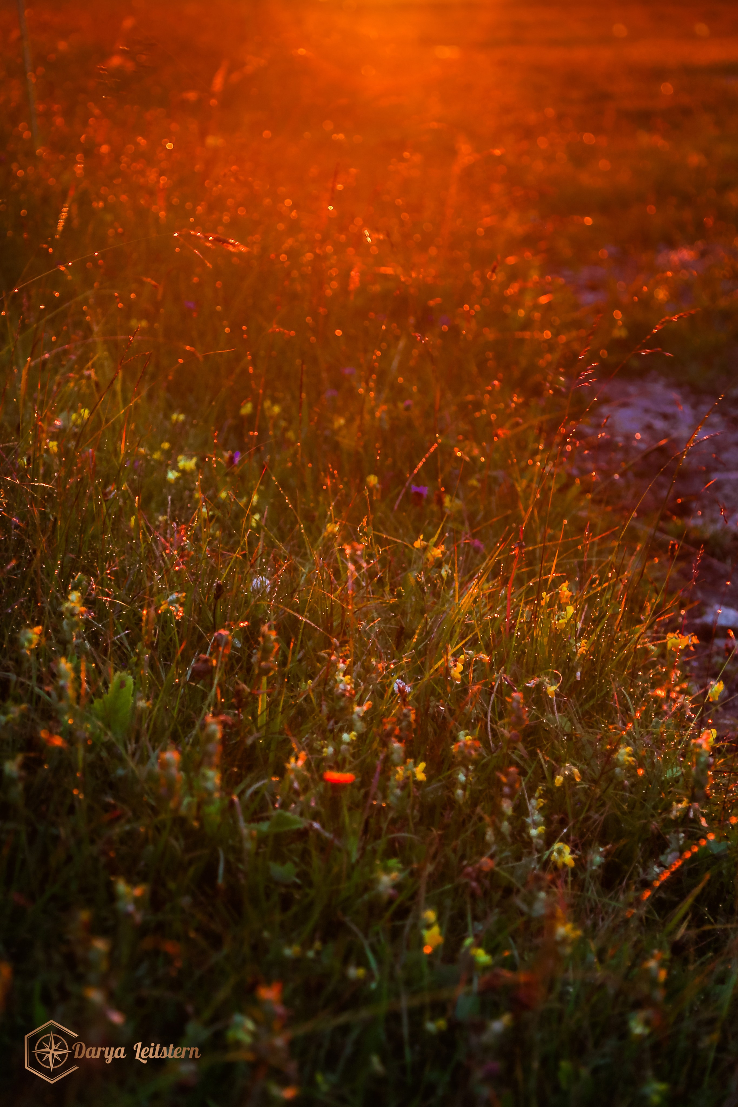 Фотографии из путешествий по разным странам. Дарья Письменюк / Darya Leitstern — фотограф, музыкант, журналист, путешественник