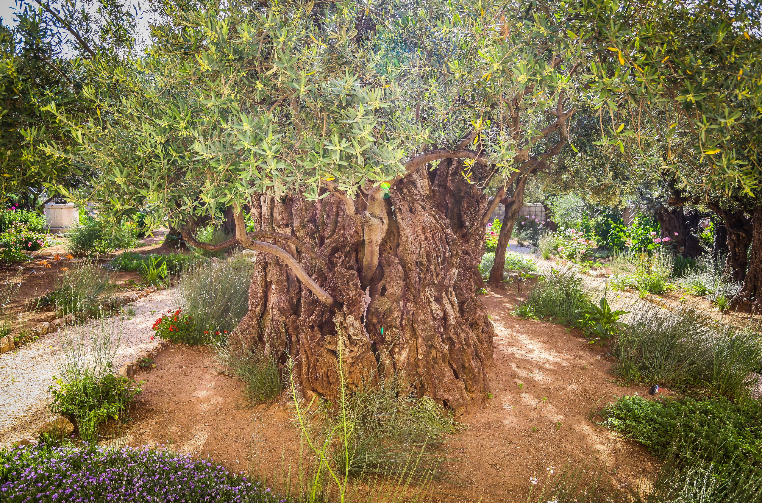 Израиль: Иерусалим. Дарья Письменюк / Darya Leitstern — фотограф, музыкант, журналист, путешественник