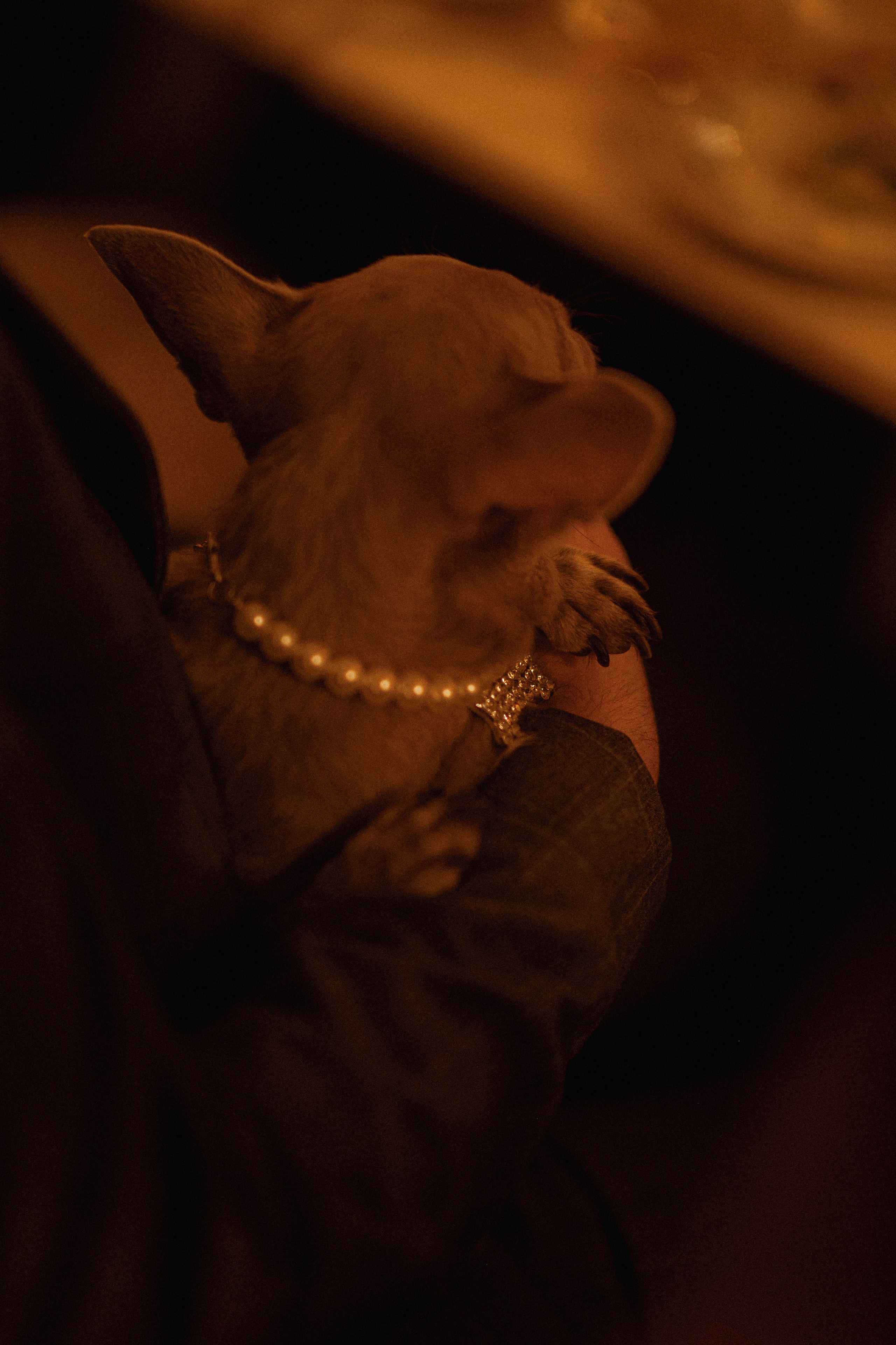 The cutiest. Сентиментальная свадебная фотография