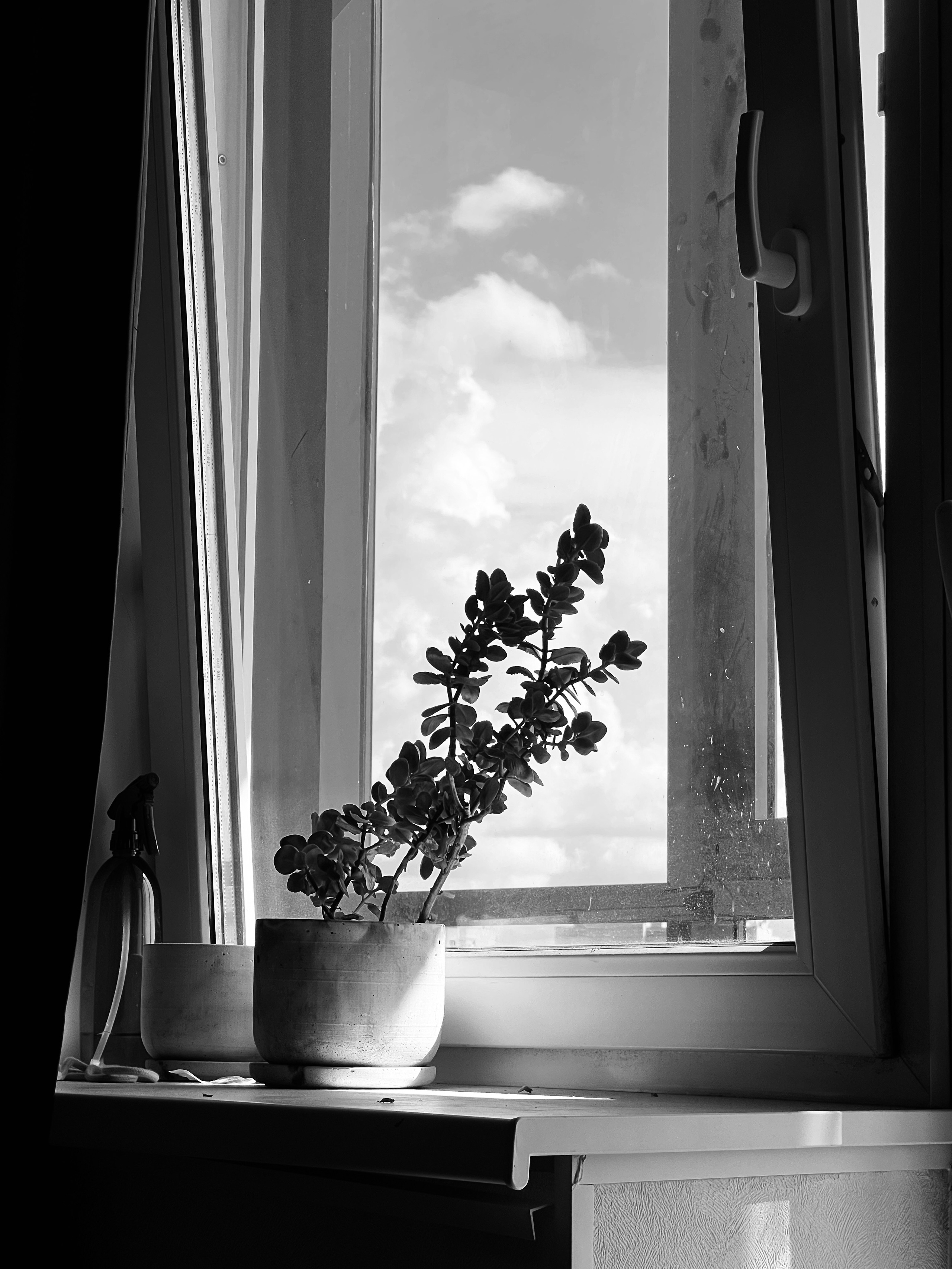 Head in the clouds / Витать в облаках. Художник Катерина Копейкина / Artist Katerina Kopeikina