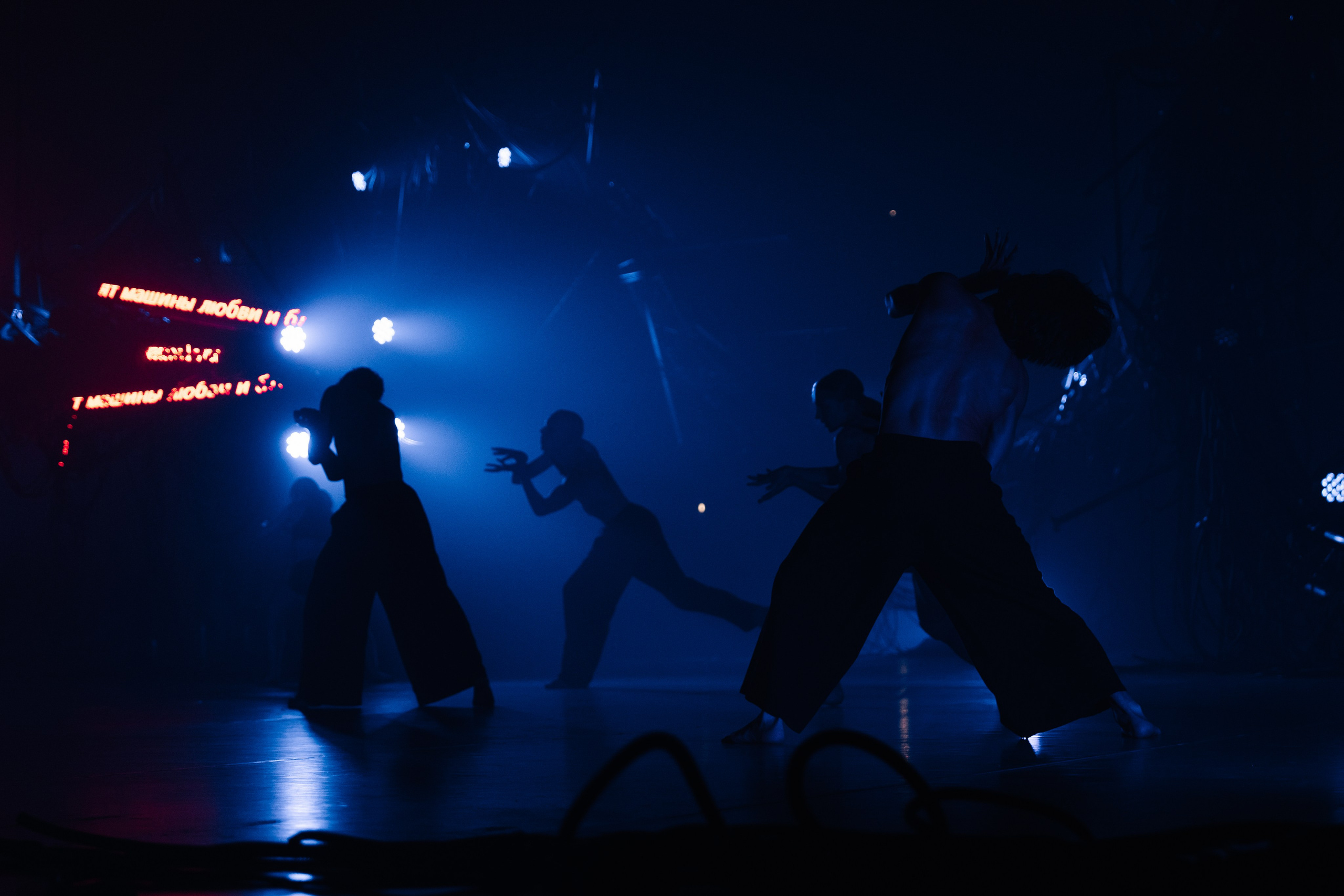 PERFORMA, The Hour of the Horse. @tomrus: Рустам Шагиморданов — фотограф