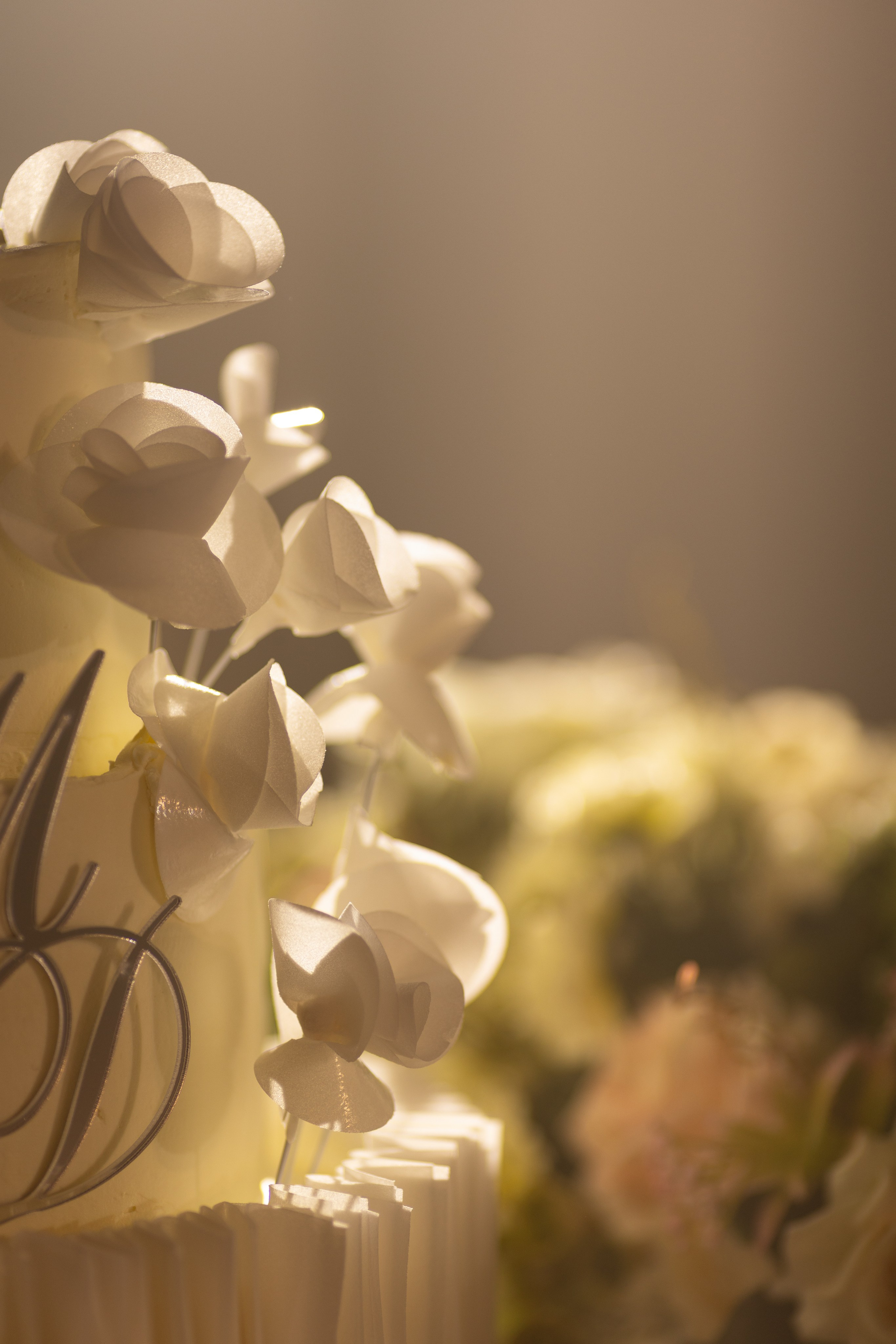 D&M. Свадебный Фотограф Краснодар Юлия Ивахнова