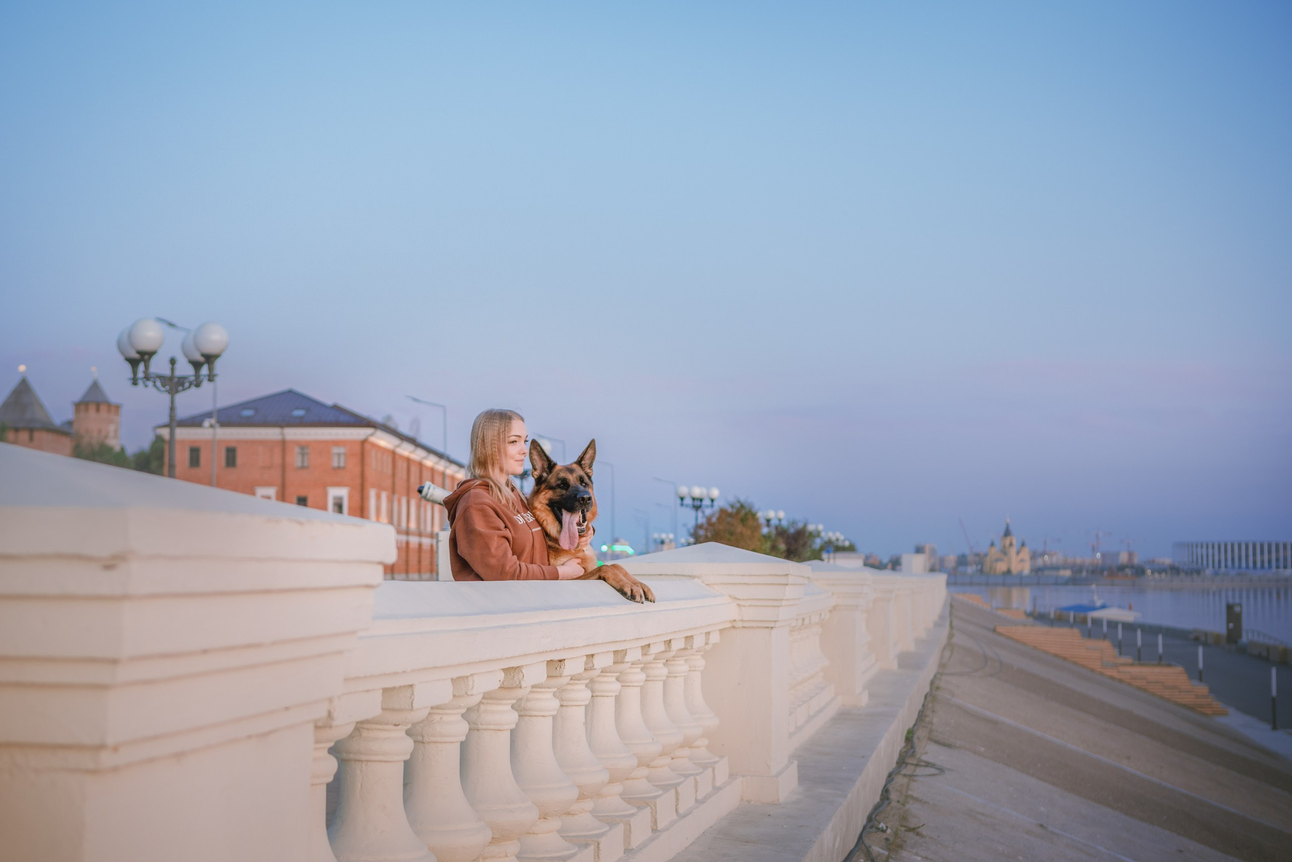 НО Расмус. Рассвет. Фотограф анималист Кузнецова Анна Нижний Новгород