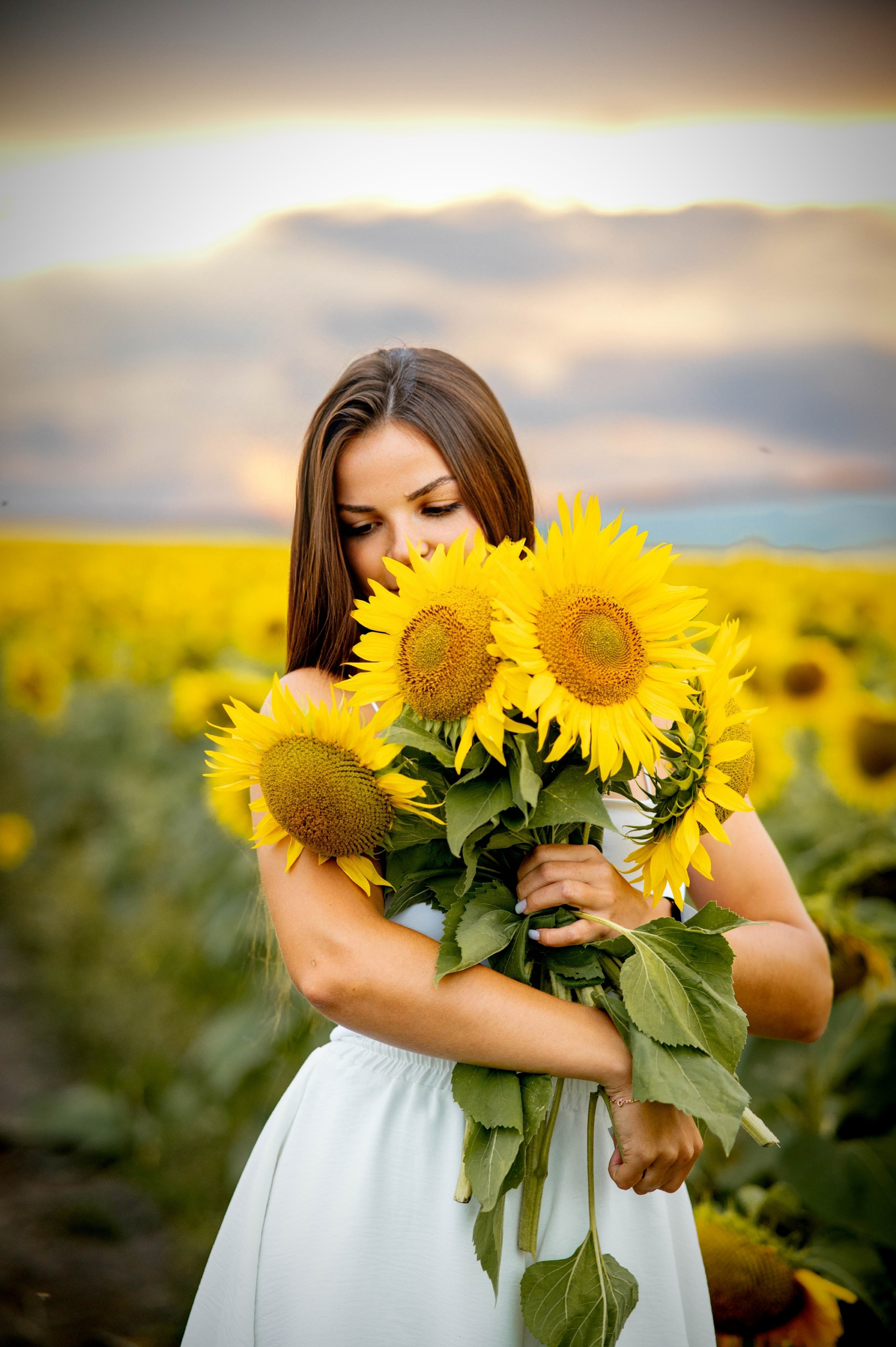 Подсолнуховое поле. Семейный и свадебный фотограф в Абакане Юлия Су