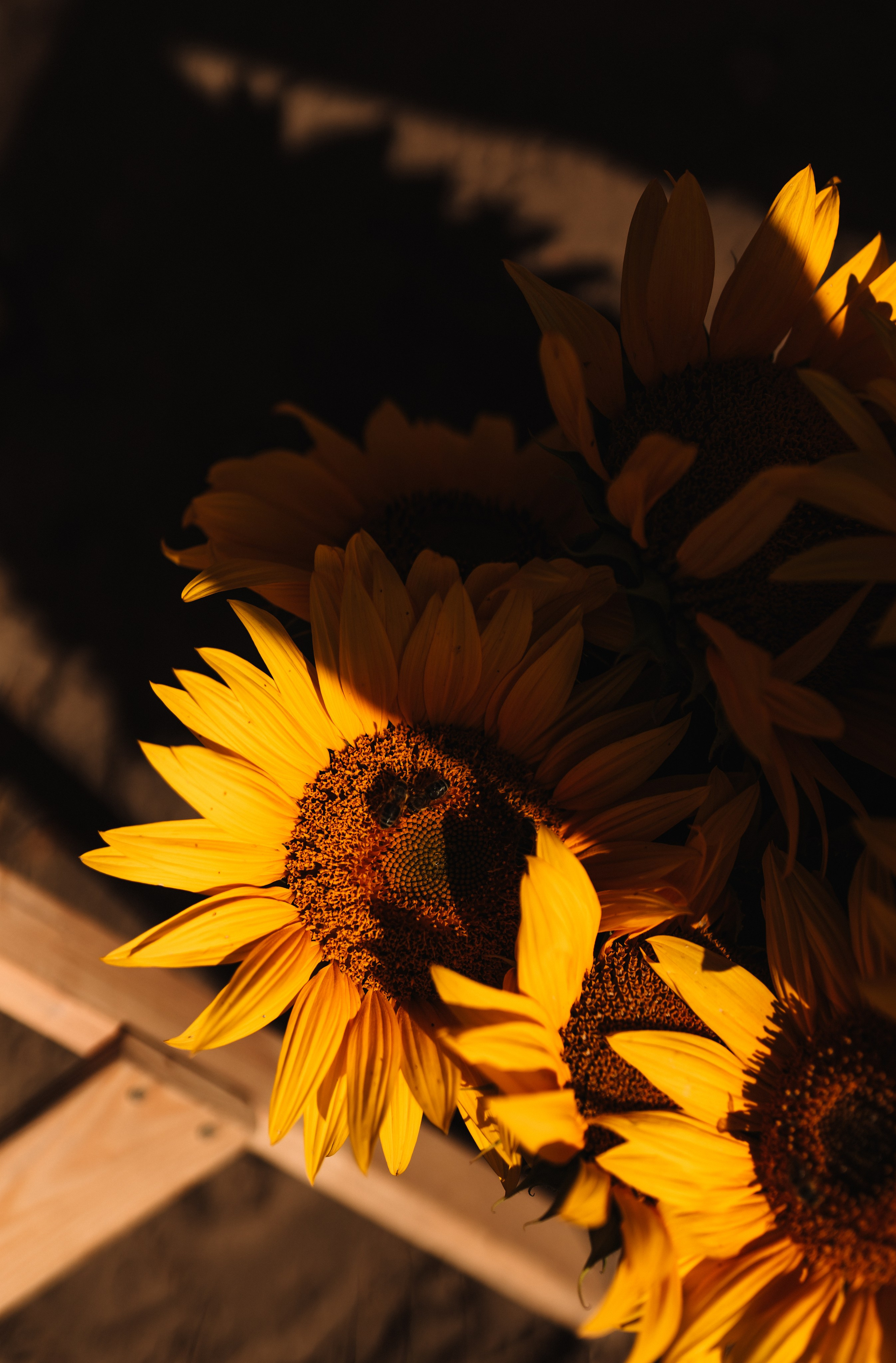 Света. Свадебный фотограф СПб Евгения Орлова