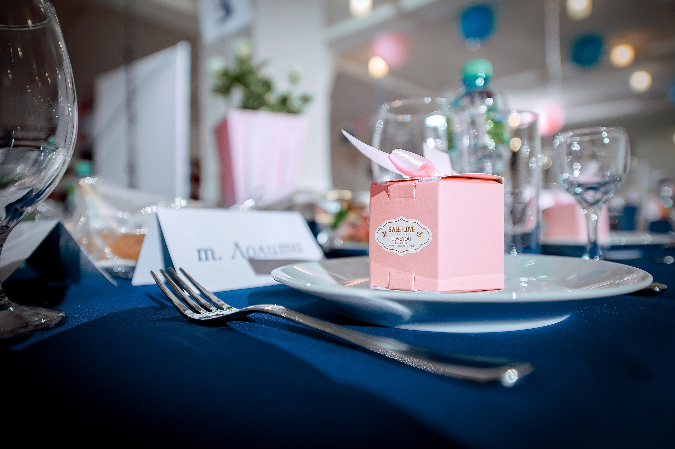 Летняя свадьба на ВДНХ. Свадебный и семейный фотограф Виктория Носачёва. Щелково, Москва и МО